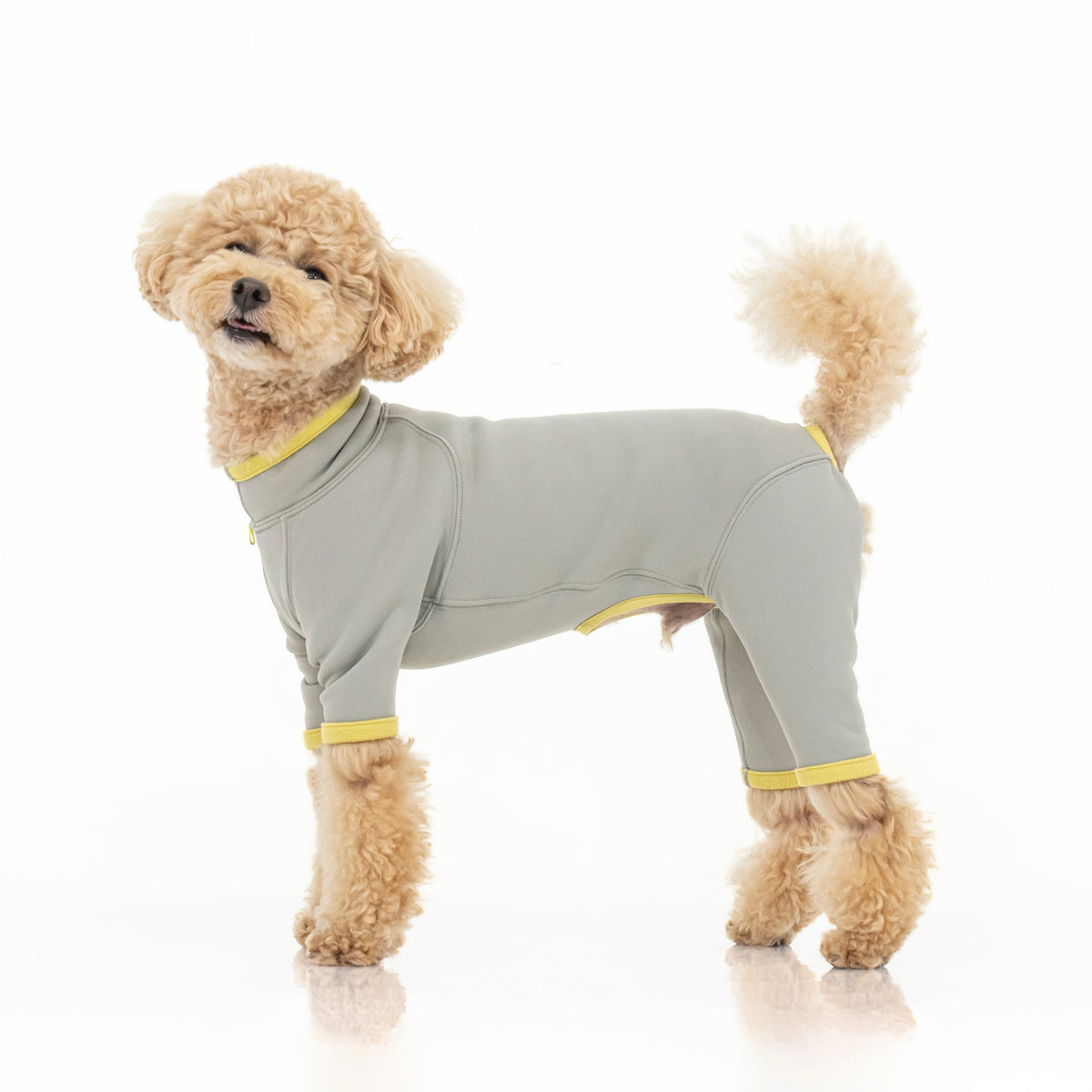 HOT DOG GUARD ホットドッグガード STONE × LINDEN