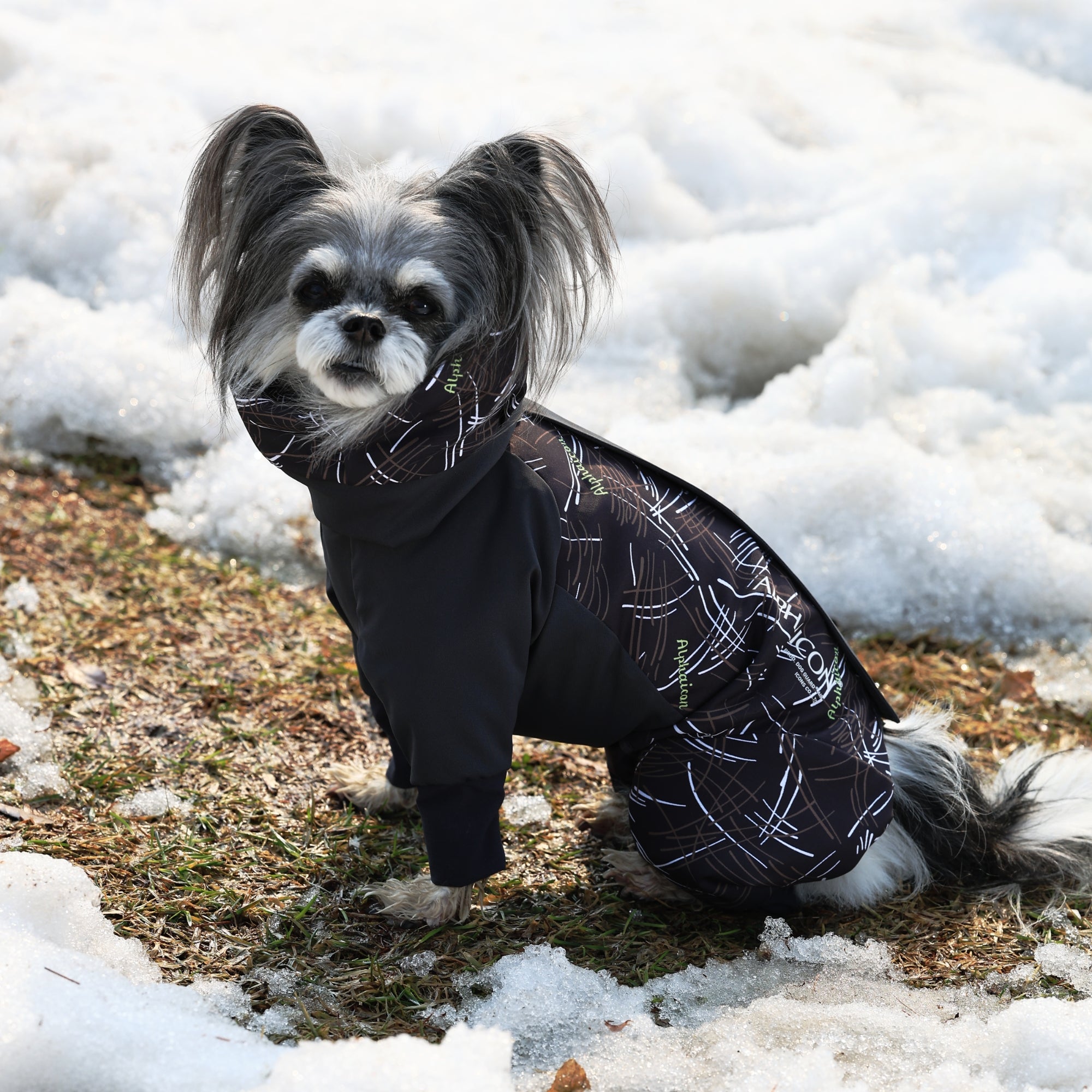 【抽選販売】DOG GUARD AIR　ドッグガード・エア　COSMOS×MINT