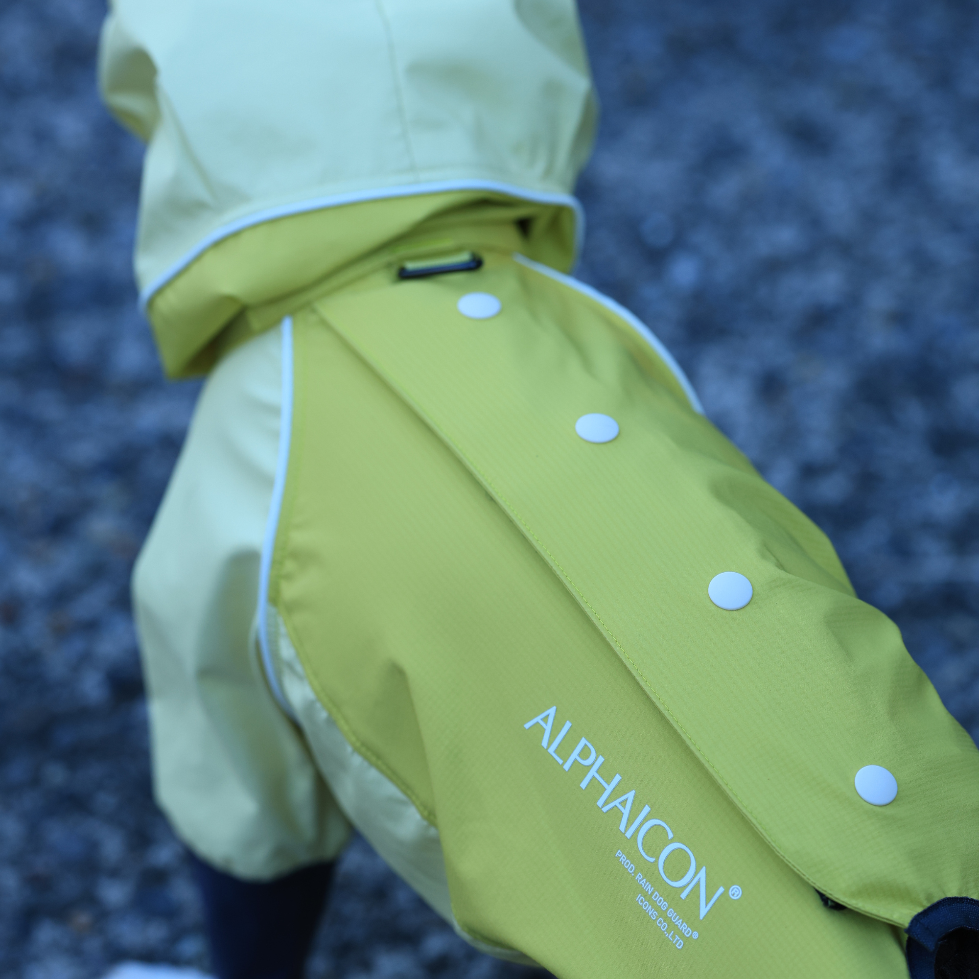 RAIN DOG GUARD レインドッグガード BANANA