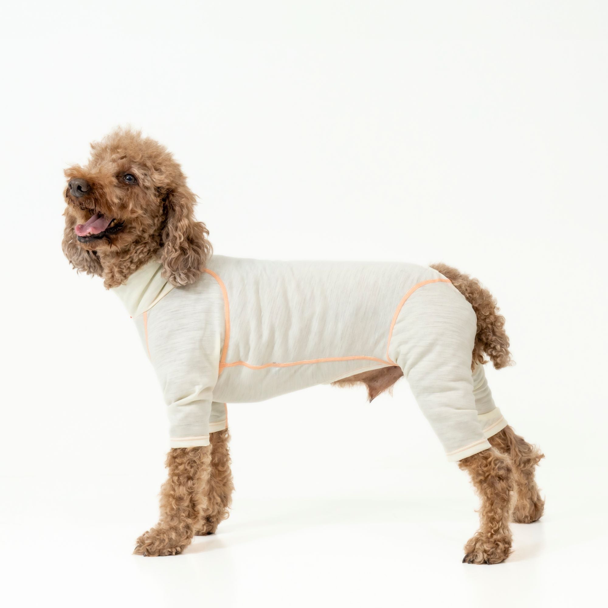 【抽選販売】DOG GUARD BASE　ドッグガードベース　SHEEP　