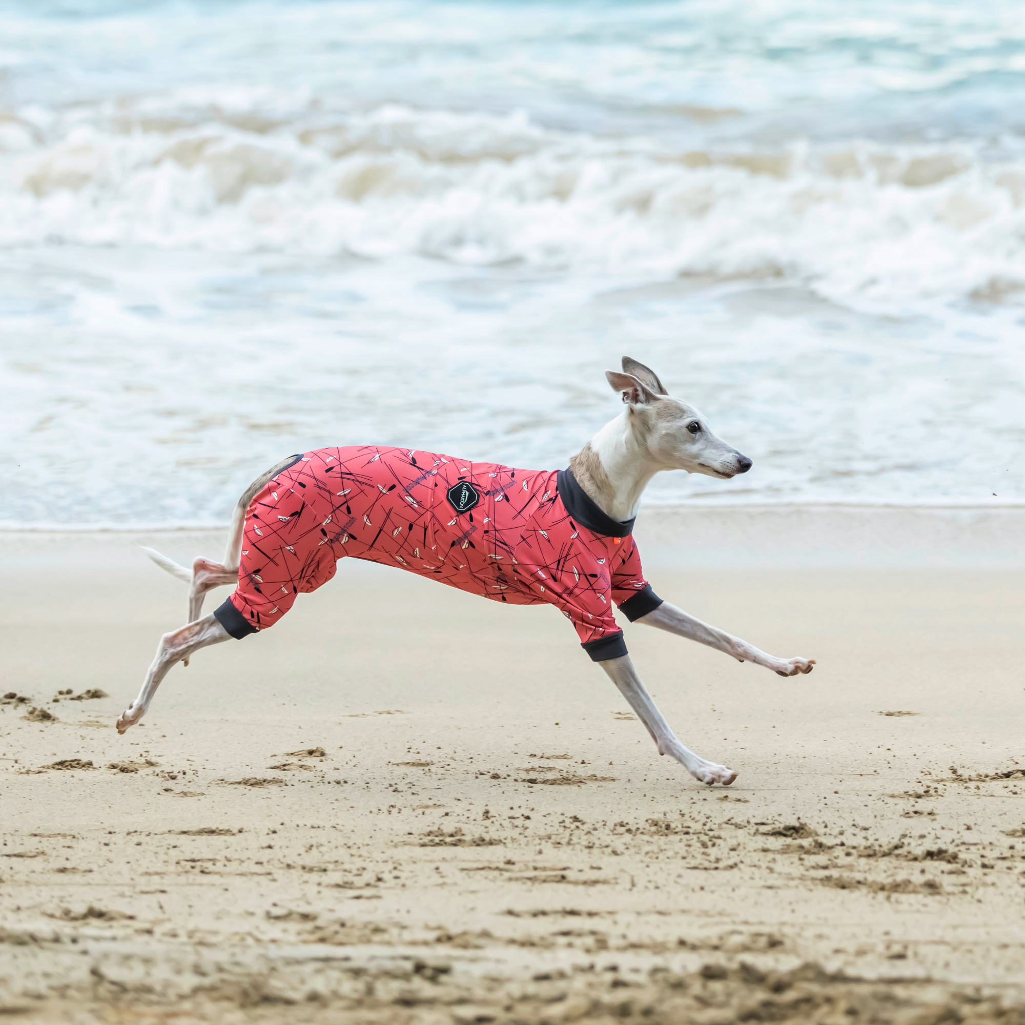 FULL DOG GUARD　フルドッグガード　SUNSET