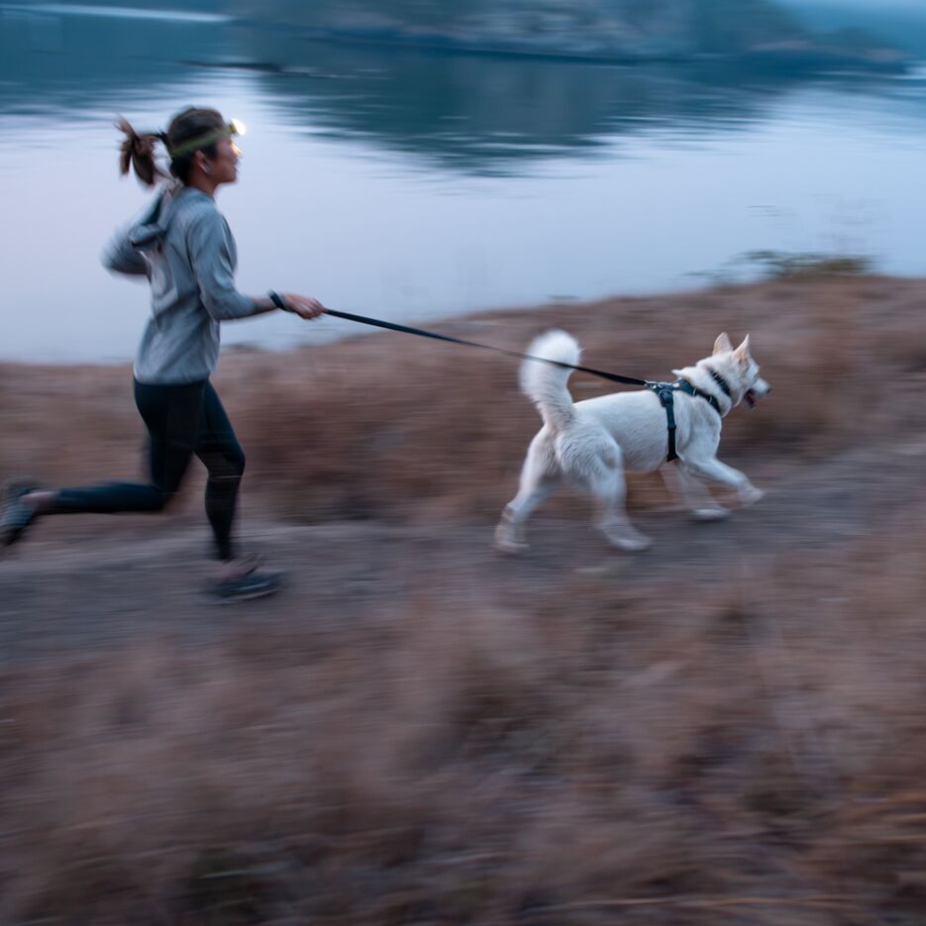 RUFFWEAR　フロントレンジリーシュ　BLPL　ブループール