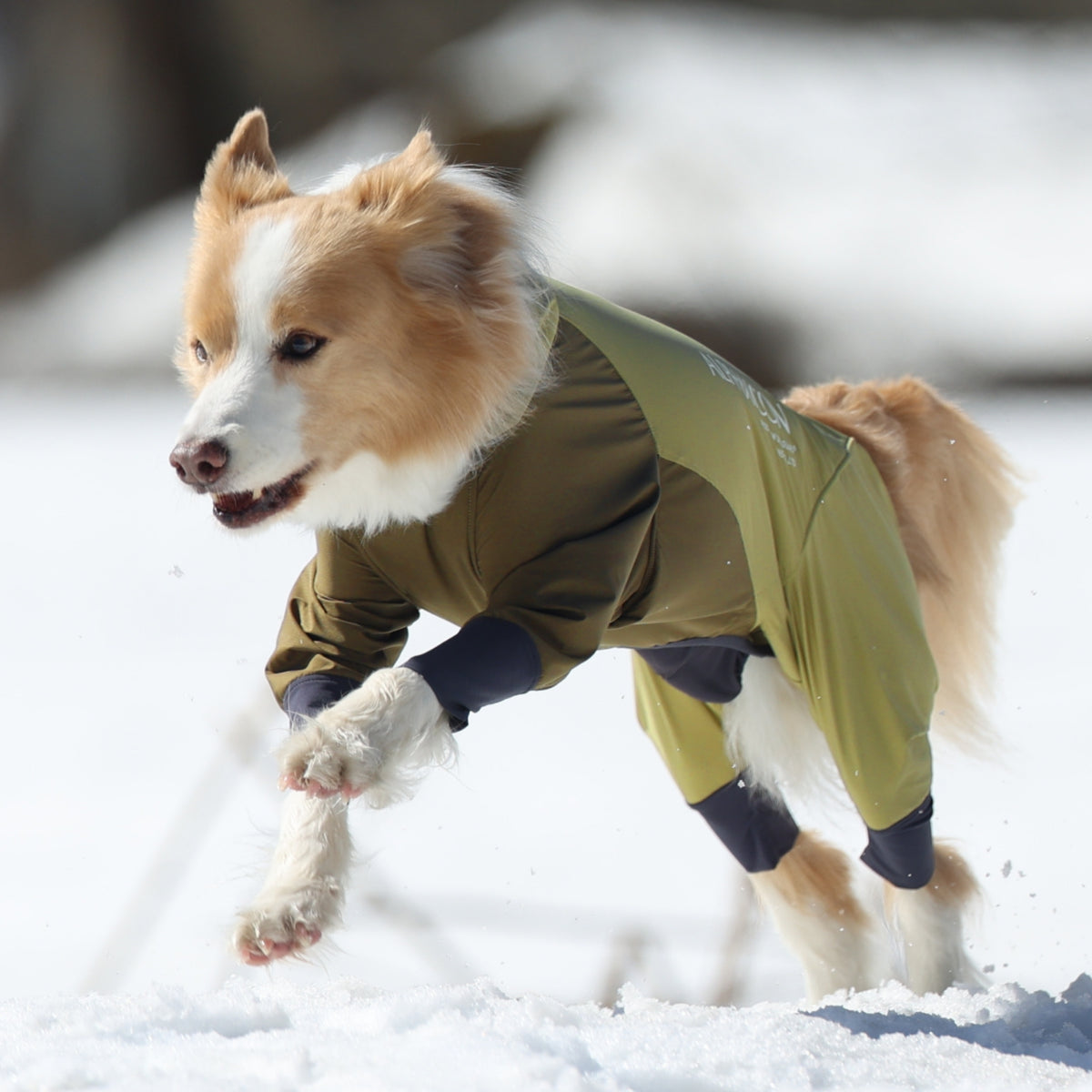 SNOW DOG GUARD スノードッグガード BRONZE MOSS