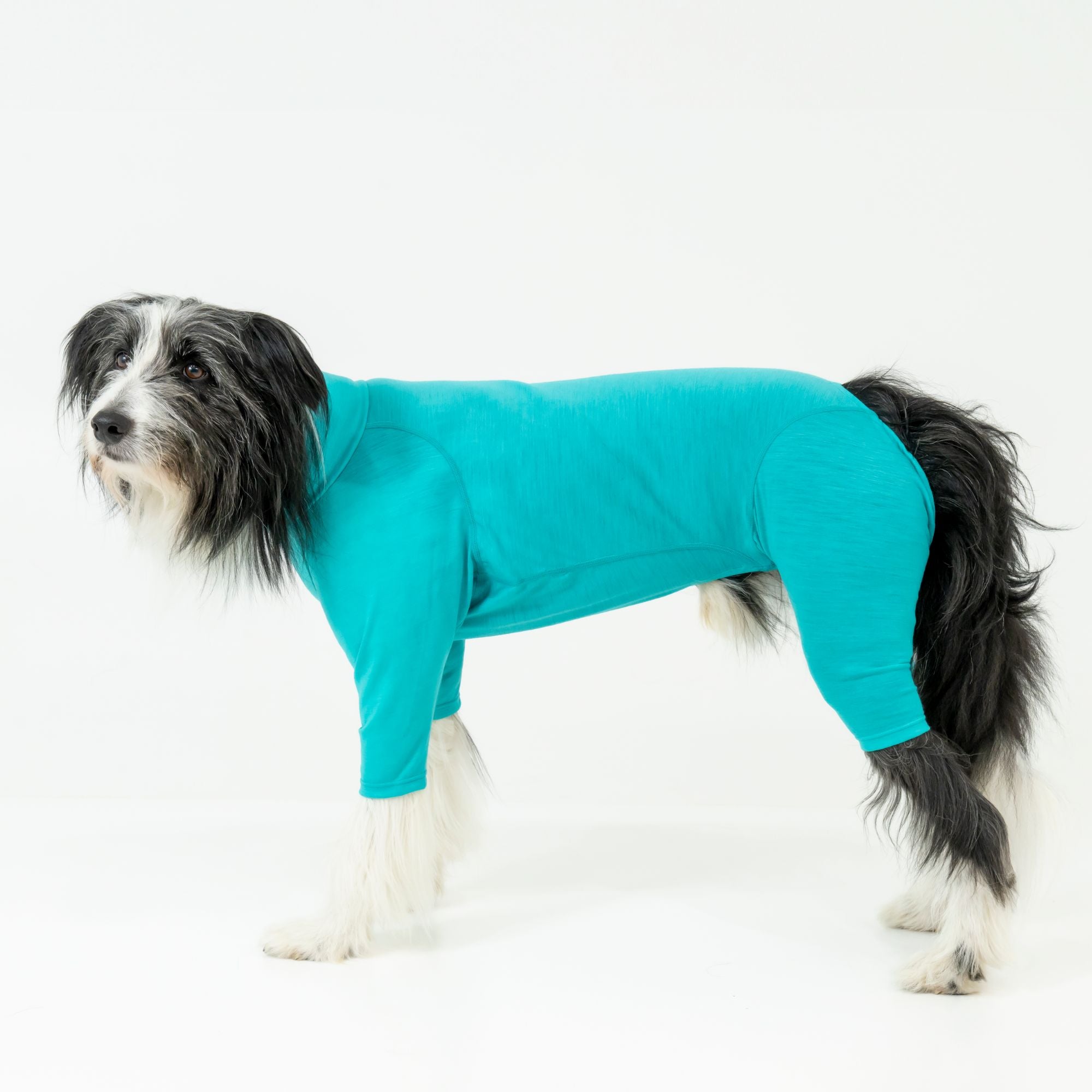 【抽選販売】DOG GUARD BASE　ドッグガードベース　 FROST　