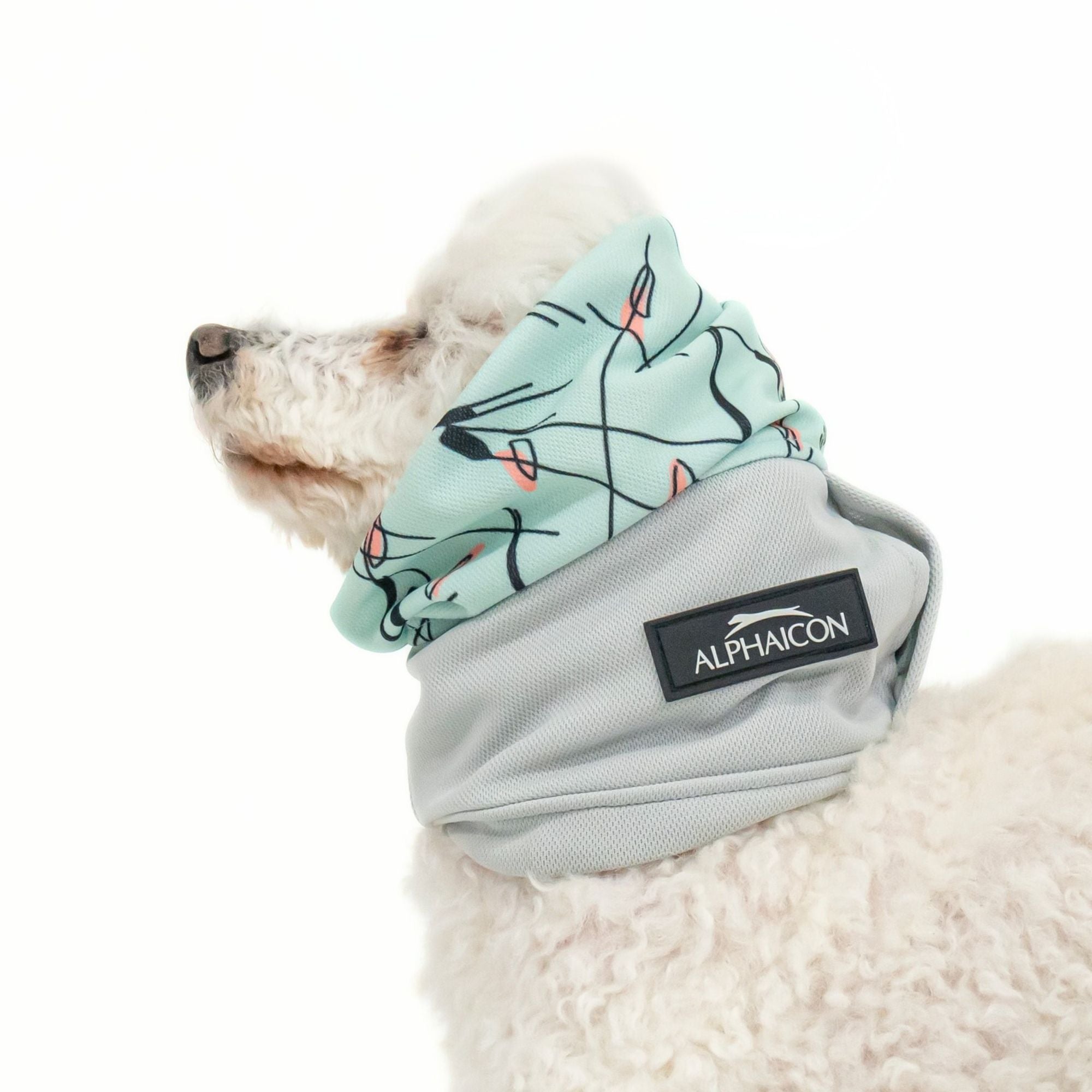 COOL SNOOD　クールスヌード　EDDY