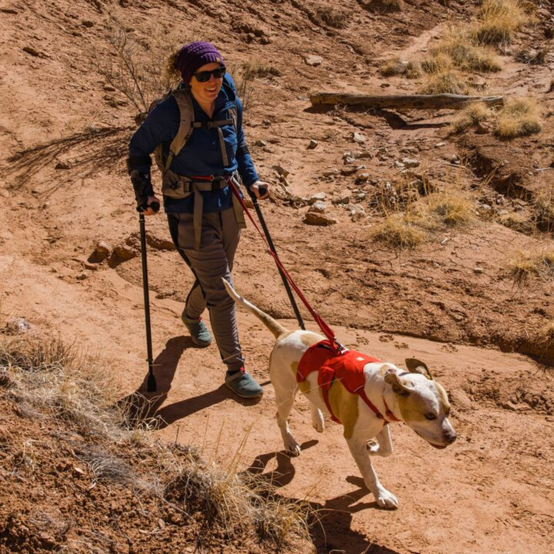 RUFFWEAR　ウェブマスターハーネス　RDSMC　レッドスマック