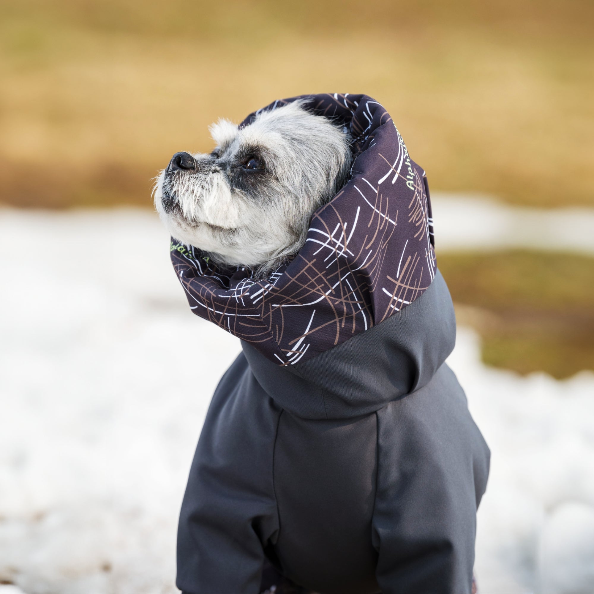 【抽選販売】DOG GUARD AIR　ドッグガード・エア　COSMOS×MINT