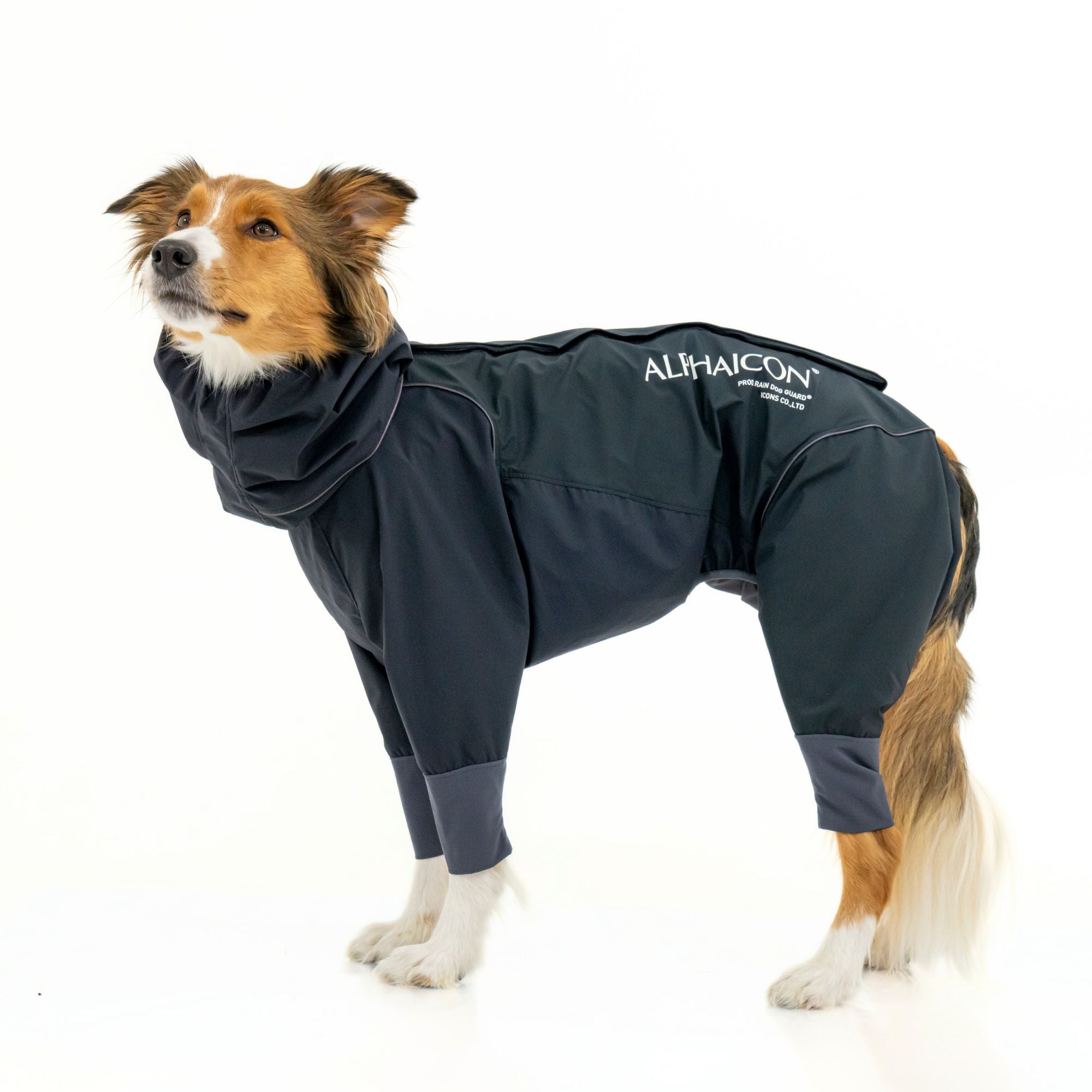 RAIN DOG GUARD　レインドッグガード　ONYX