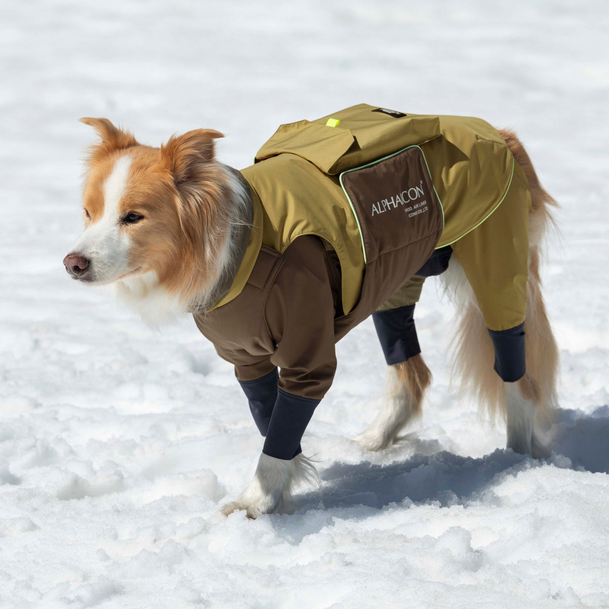 SNOW DOG GUARD スノードッグガード BRONZE MOSS