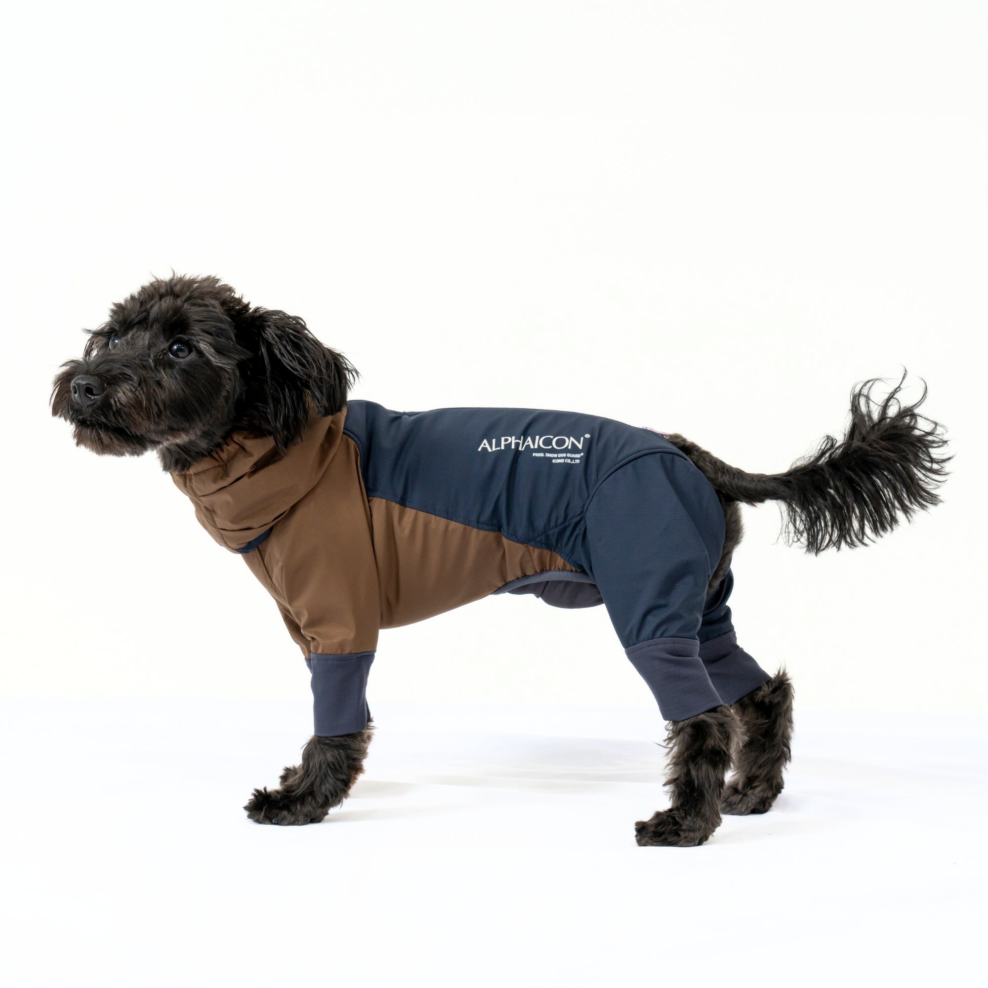 SNOW DOG GUARD RETRO SKI