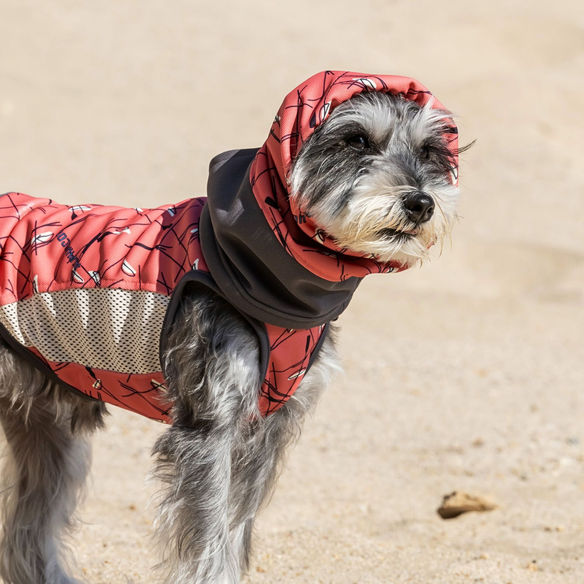 COOL SNOOD　クールスヌード　SUNSET