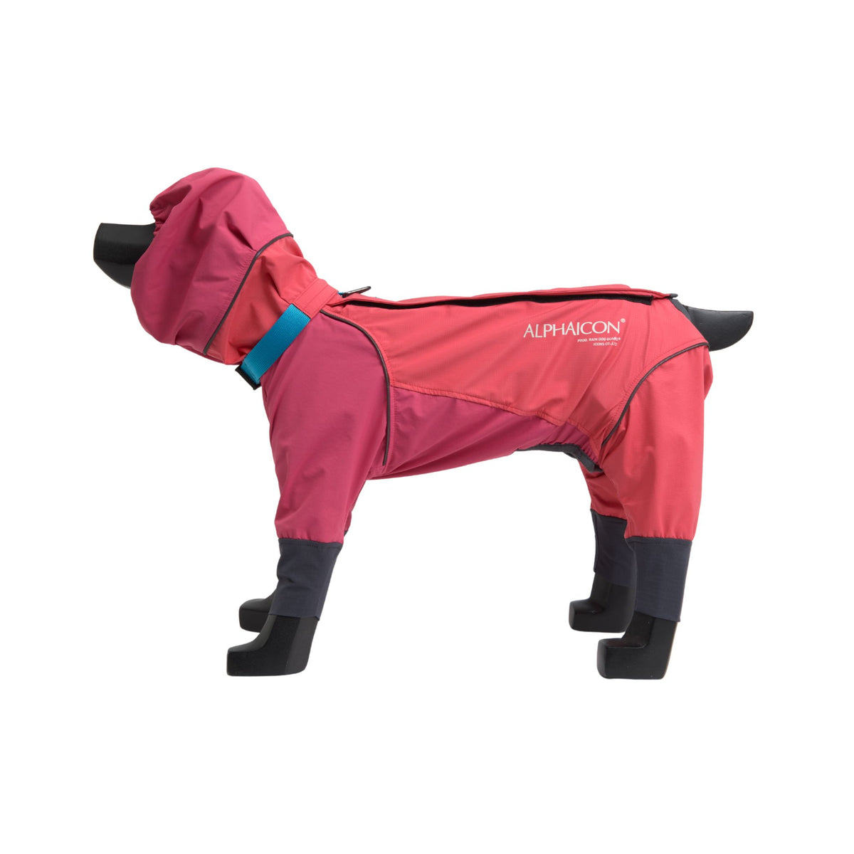 RAIN DOG GUARD レインドッグガード CORAL