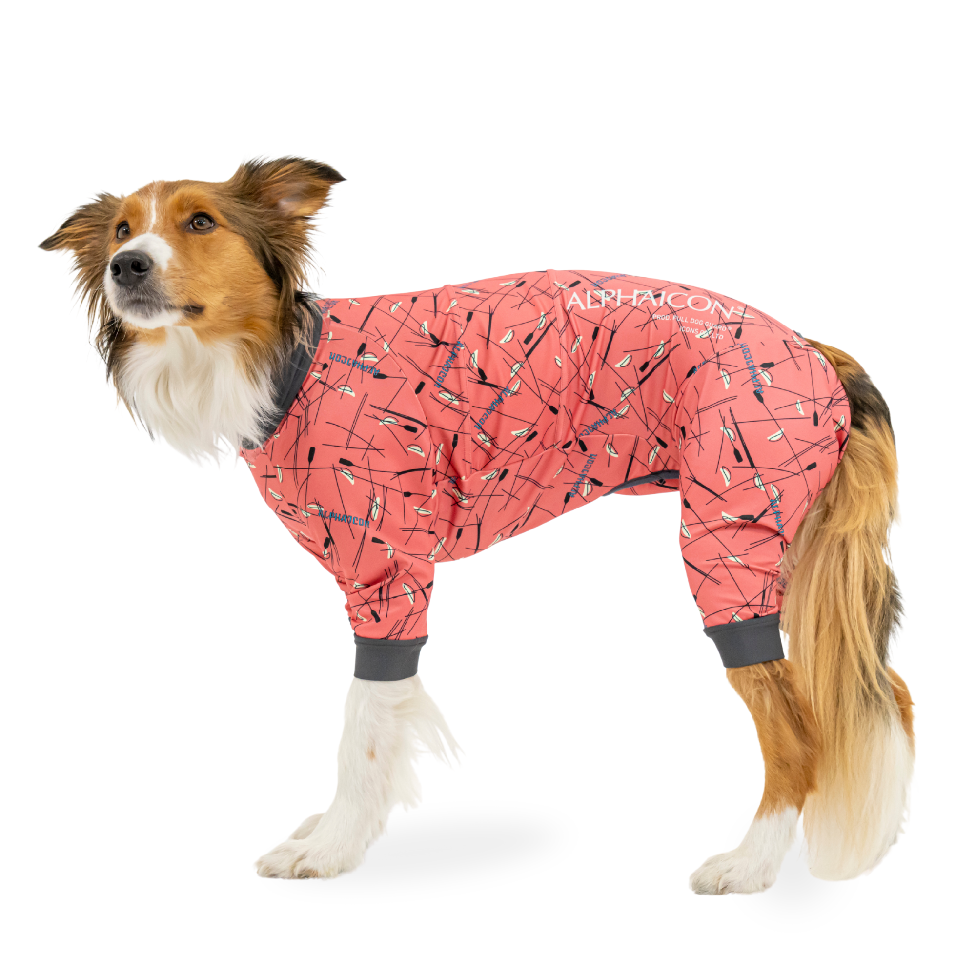 FULL DOG GUARD　フルドッグガード　SUNSET