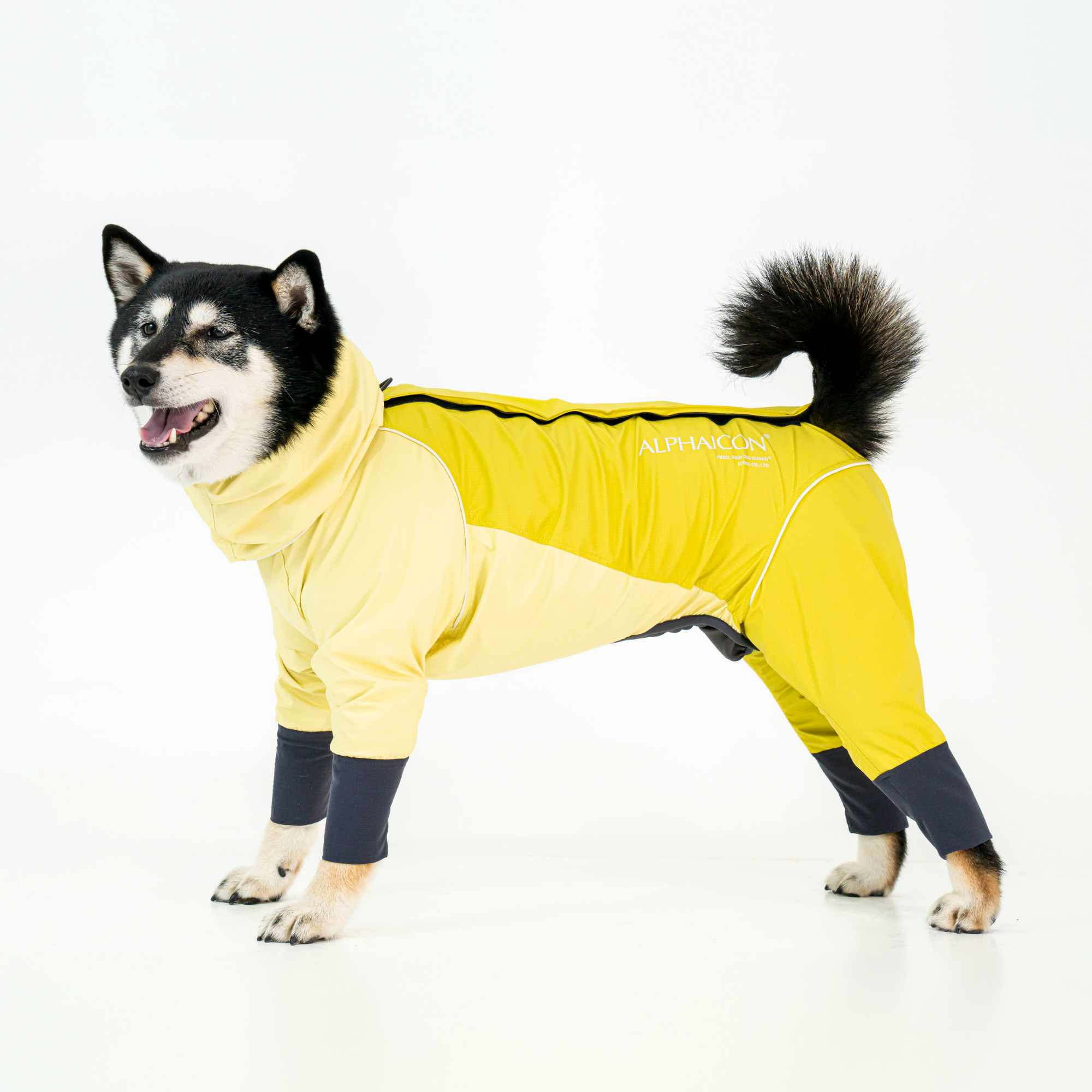 RAIN DOG GUARD レインドッグガード BANANA