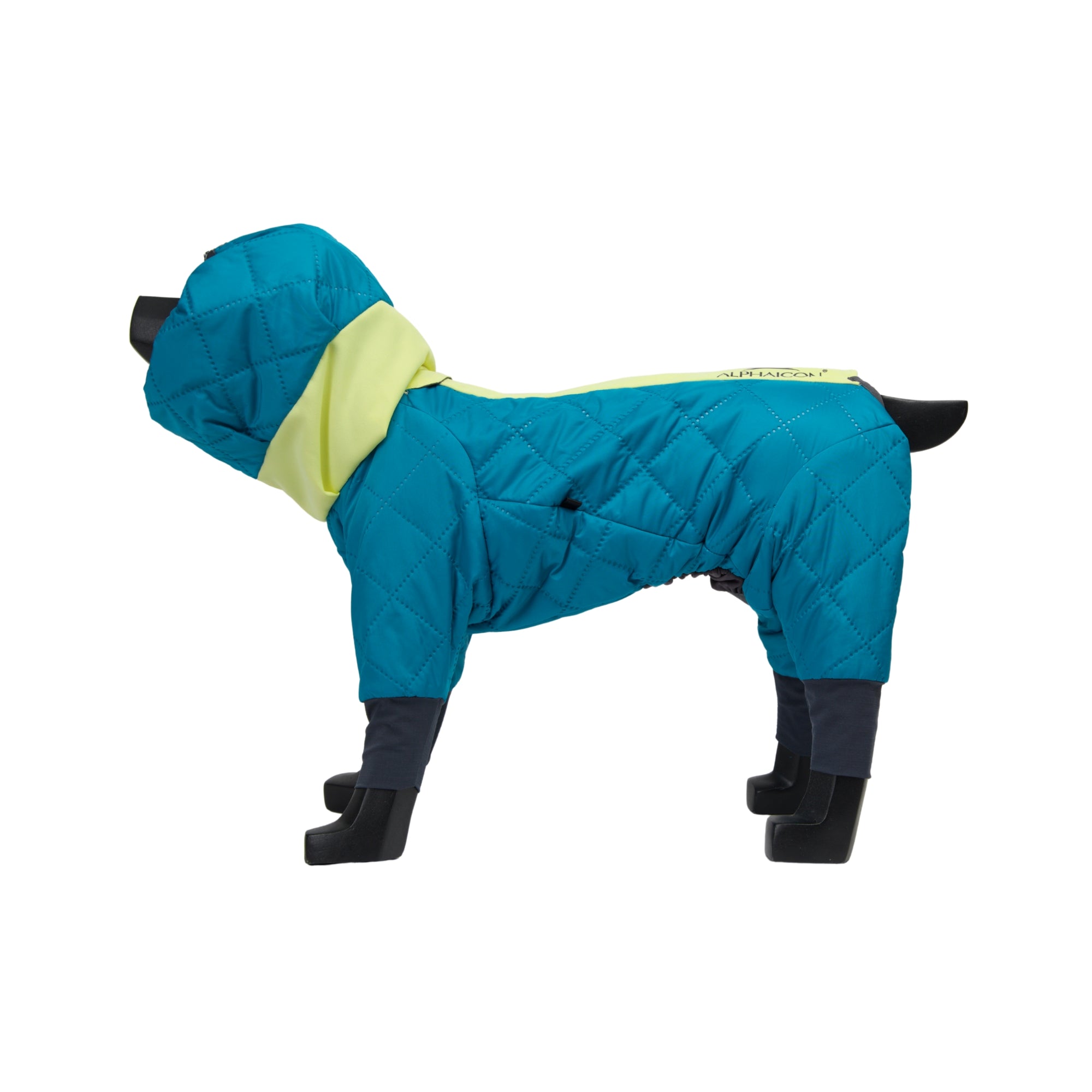 【抽選販売】DOG GUARD AIR　ドッグガード・エア　COSMOS×MINT