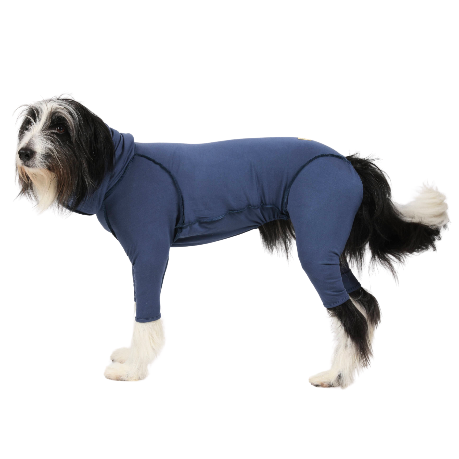 TAKEFU DOGWEAR TAKEFU DOGWEAR Blue