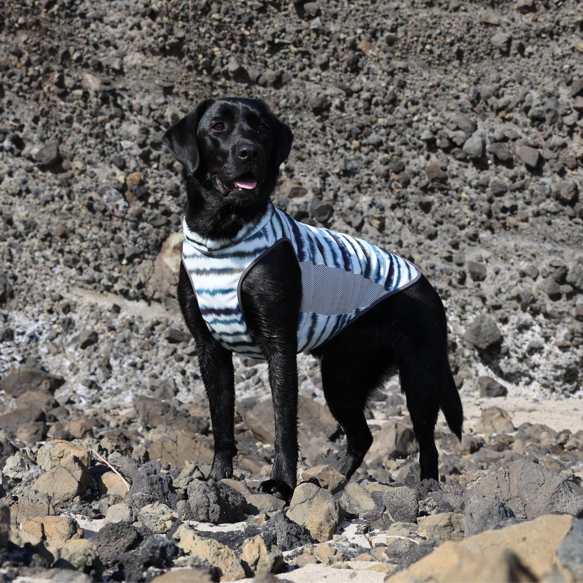 SUMMER COOLING NECK　サマークーリングネック　 MOSSY