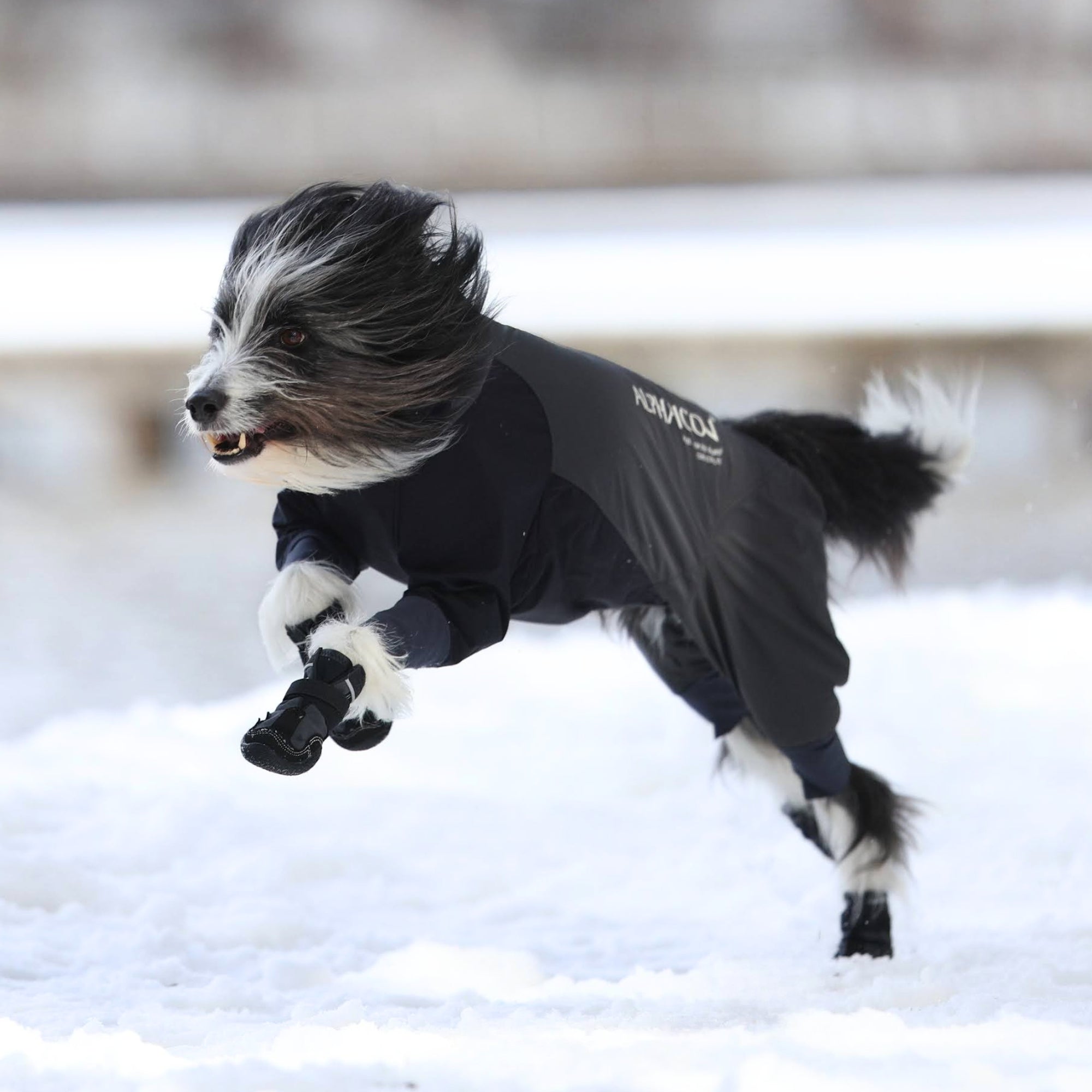 Snow Mushers　スノーマッシャーズ　グレー