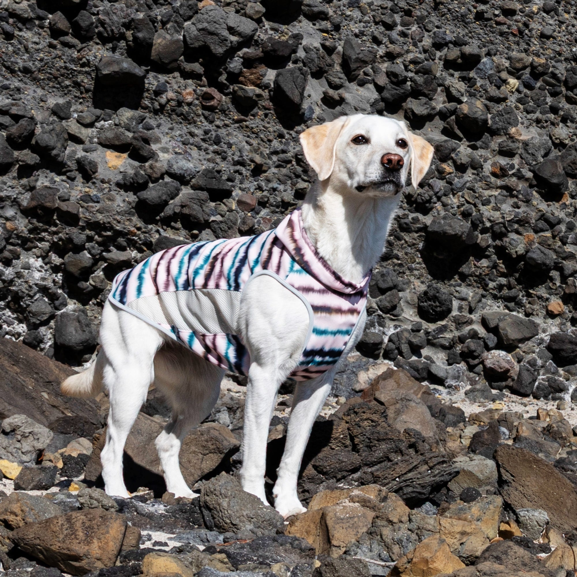 SUMMER COOLING NECK　サマークーリングネック　 CORAL