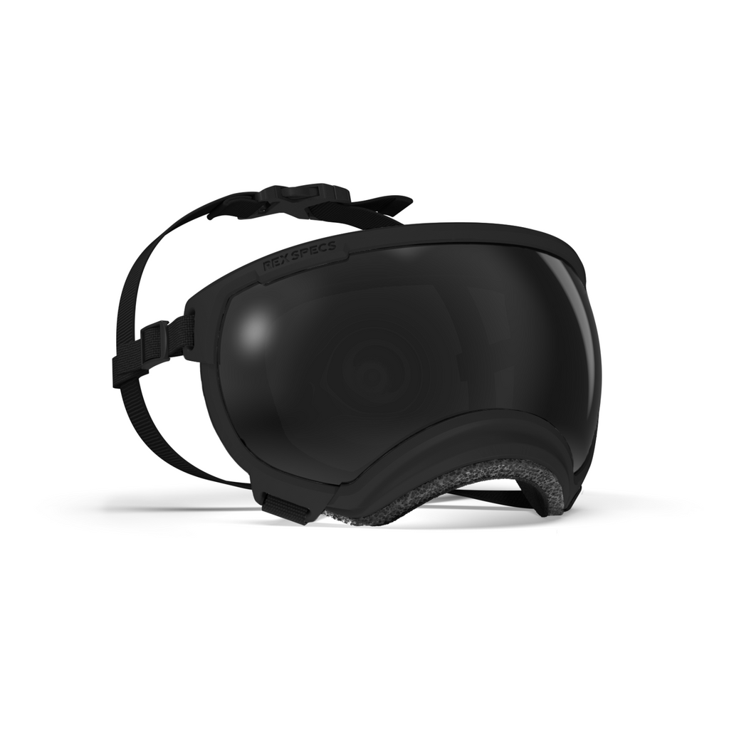 REXSPECS V2 ドッグゴーグル Black