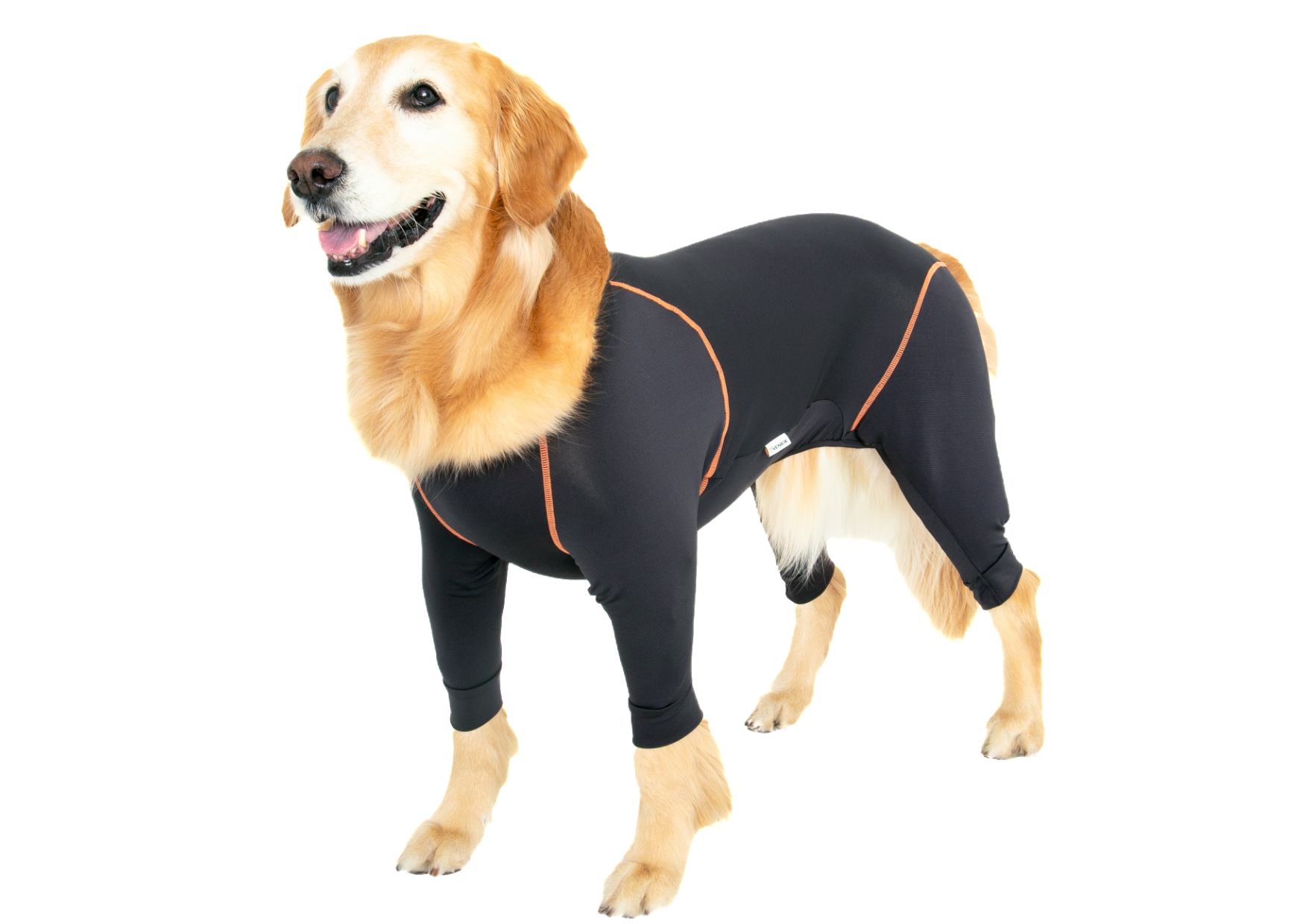 RECOVERY DOGWEAR リカバリードッグウェア