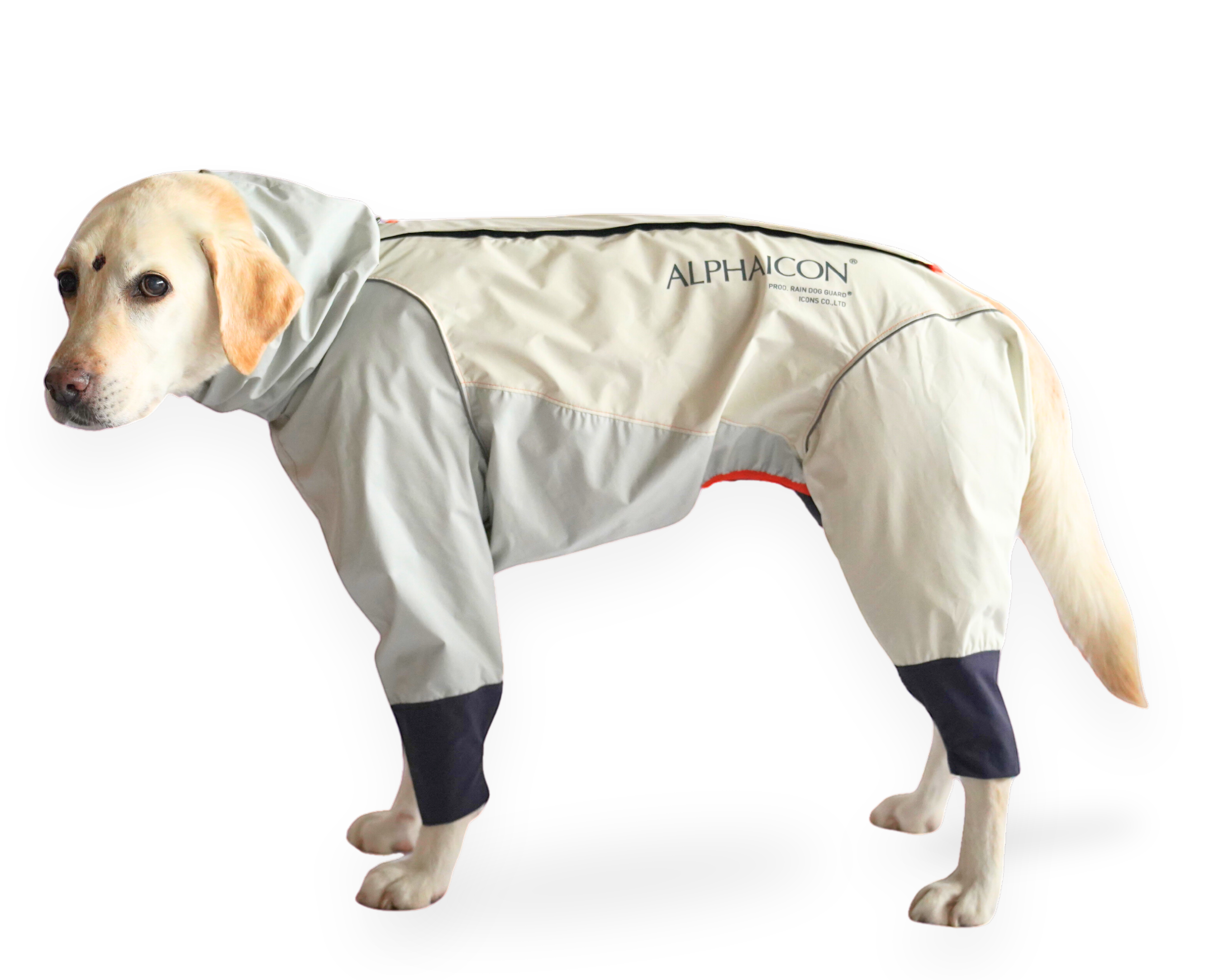 ALPHAICO レインドッグガード L 犬用レインコート フード付き ALPHAICO
