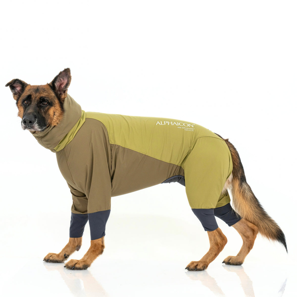SNOW DOG GUARD スノードッグガード BRONZE MOSS