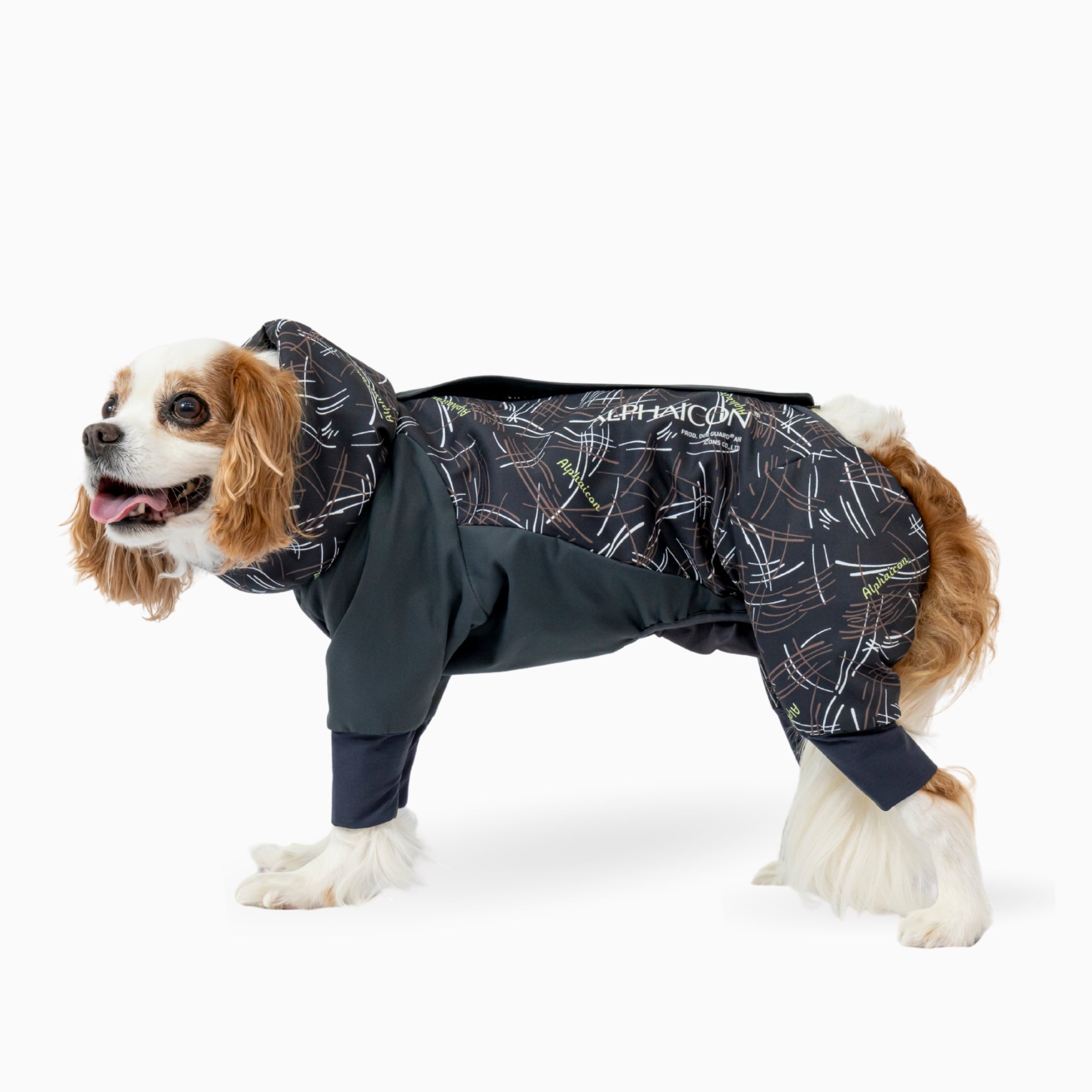 【抽選販売】DOG GUARD AIR　ドッグガード・エア　COSMOS×MINT