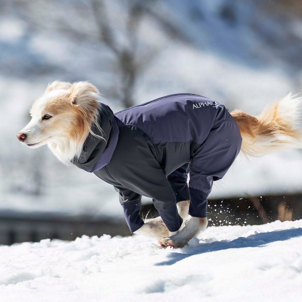 SNOW DOG GUARD スノードッグガード SMOKED PLUM