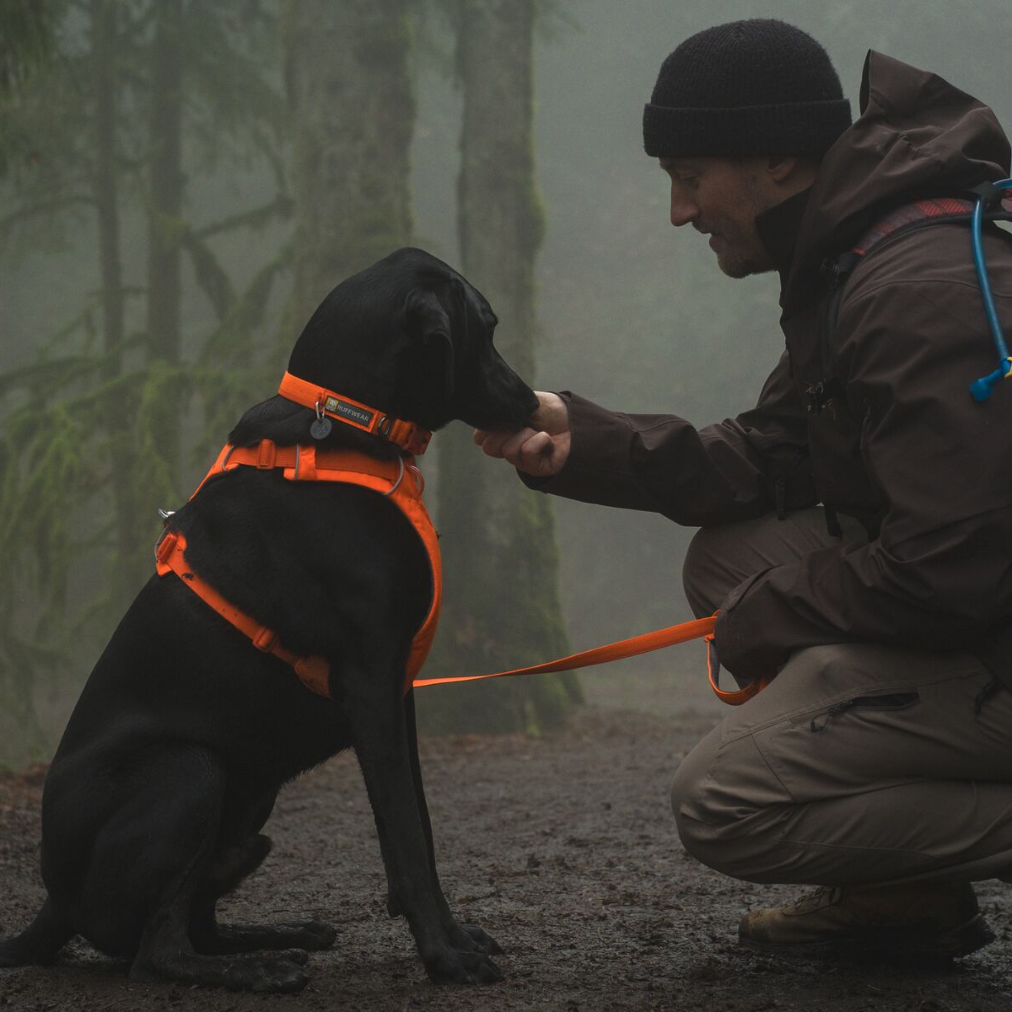 RUFFWEAR　フロントレンジカラー　ブレイズオレンジ