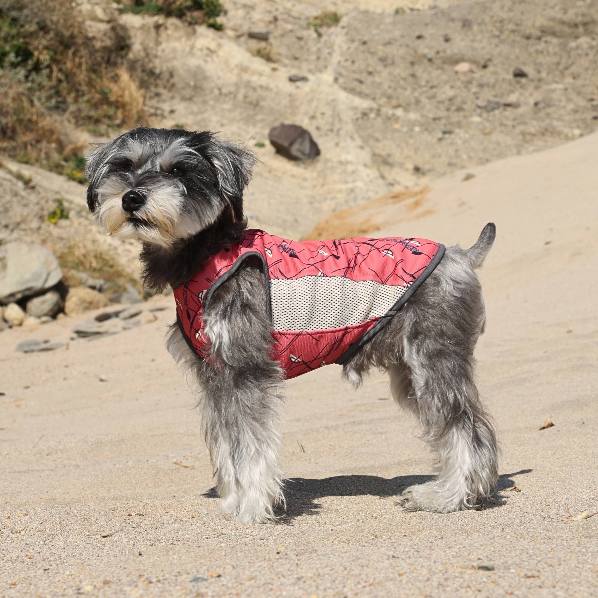 SUMMER COOLING TANKTOP　サマークーリングタンクトップ　SUNSET