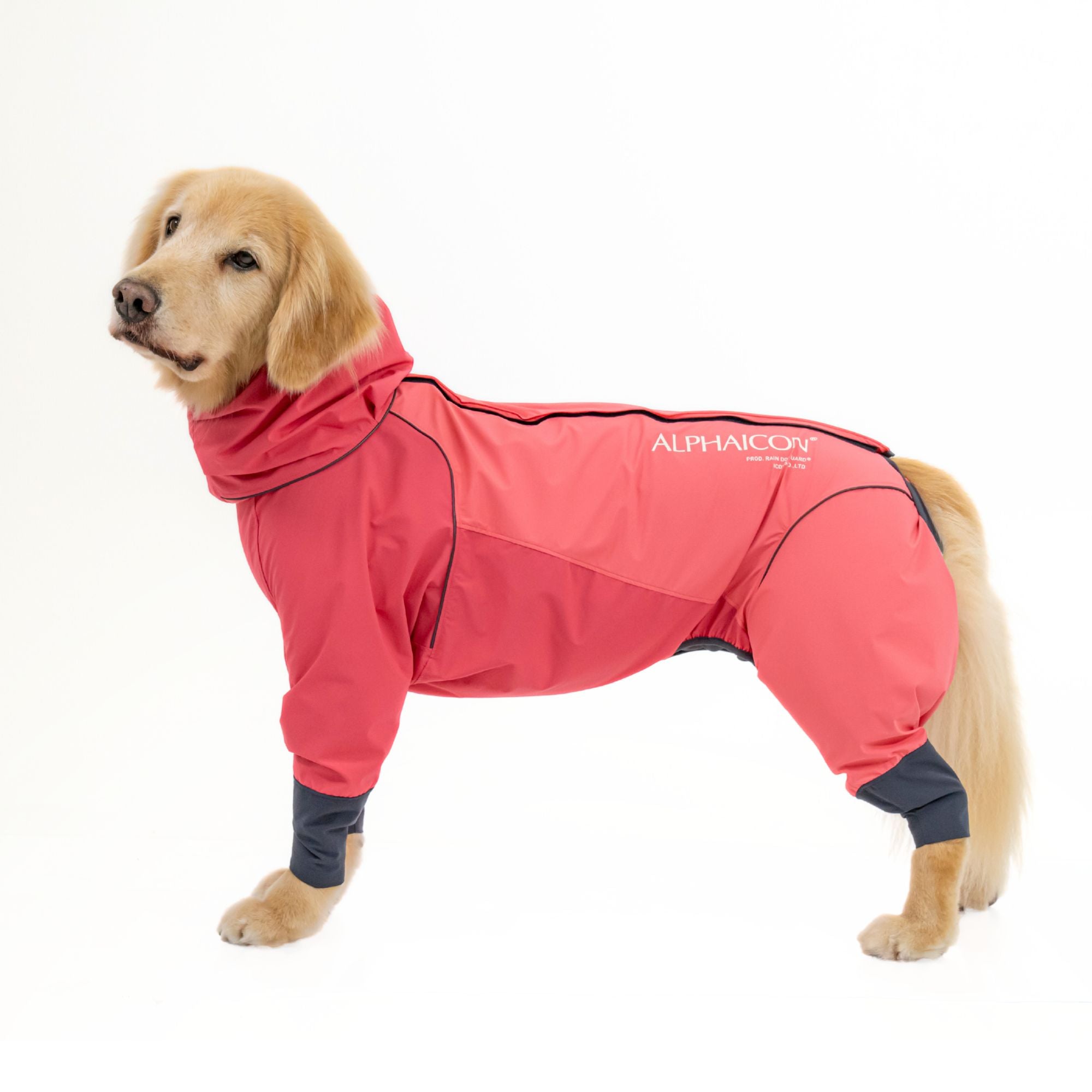 RAIN DOG GUARD　レインドッグガード　CORAL