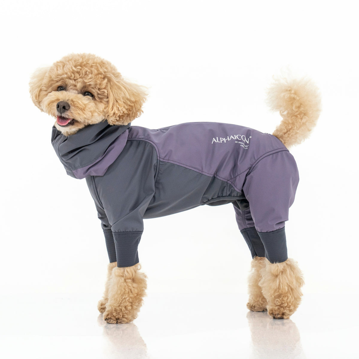 SNOW DOG GUARD スノードッグガード SMOKED PLUM