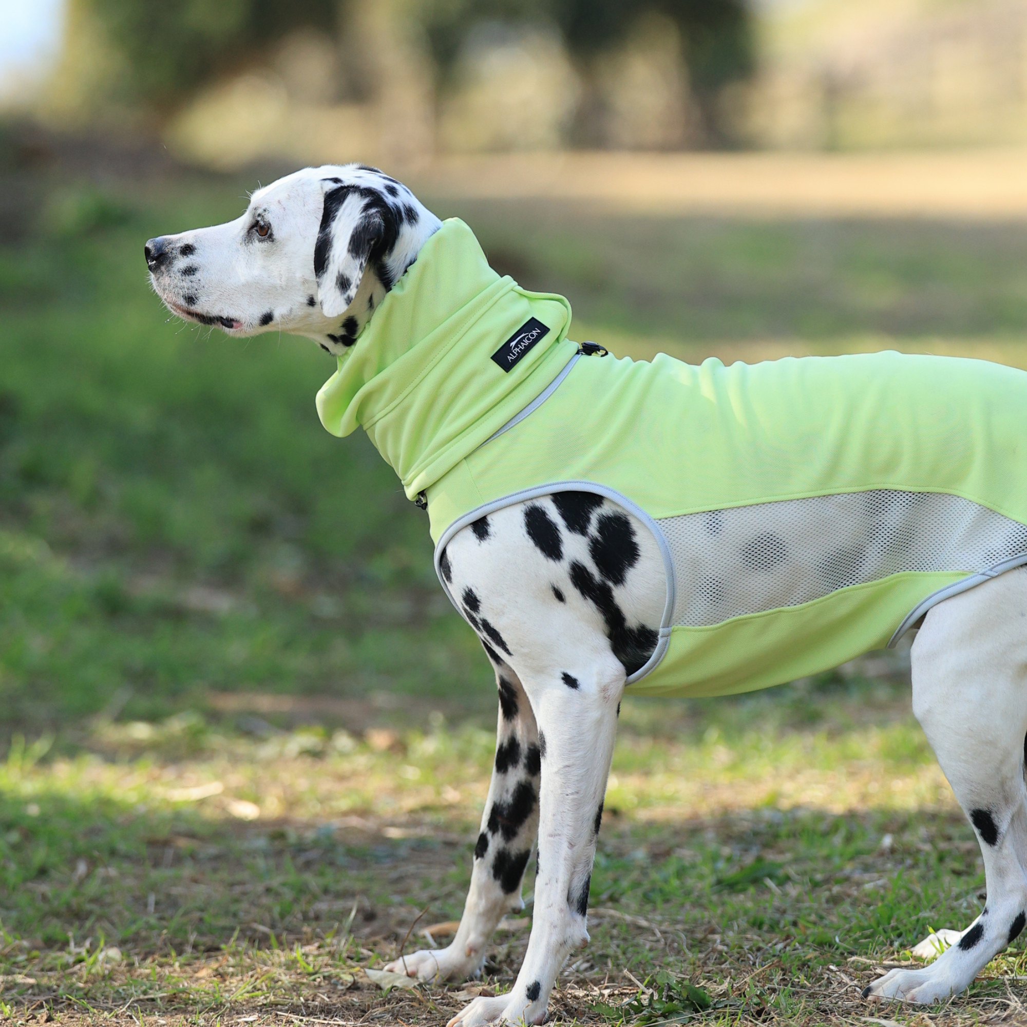 COOL SNOOD MELON