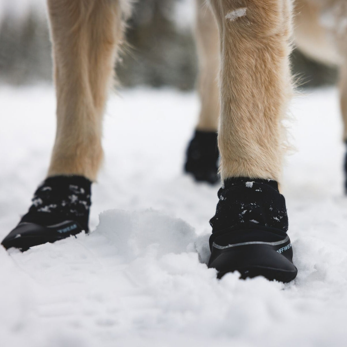 PolarTrex　Winterboots　ポーラートレックス　ウィンターブーツ