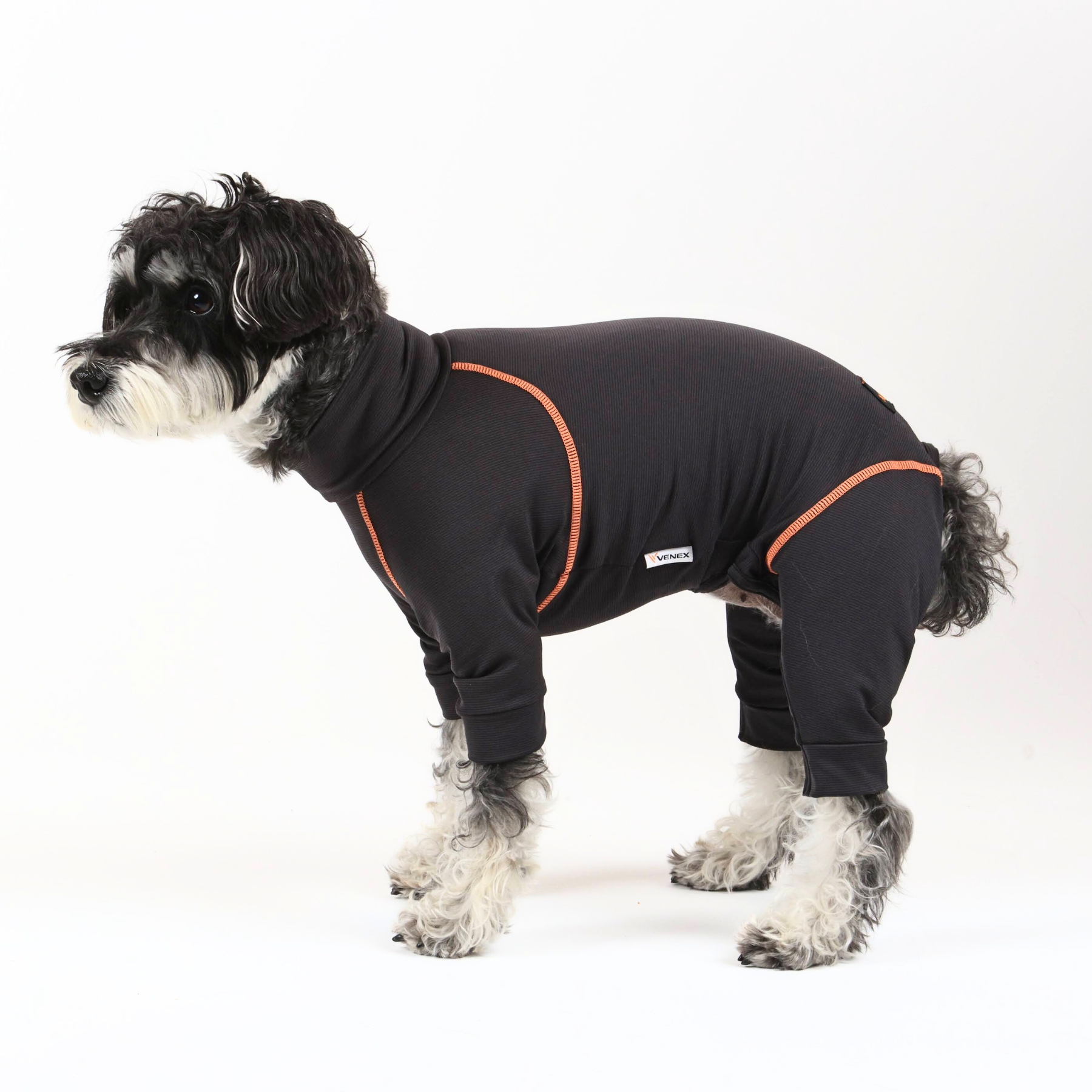 RECOVERY DOGWEAR recovery dog ​​wear