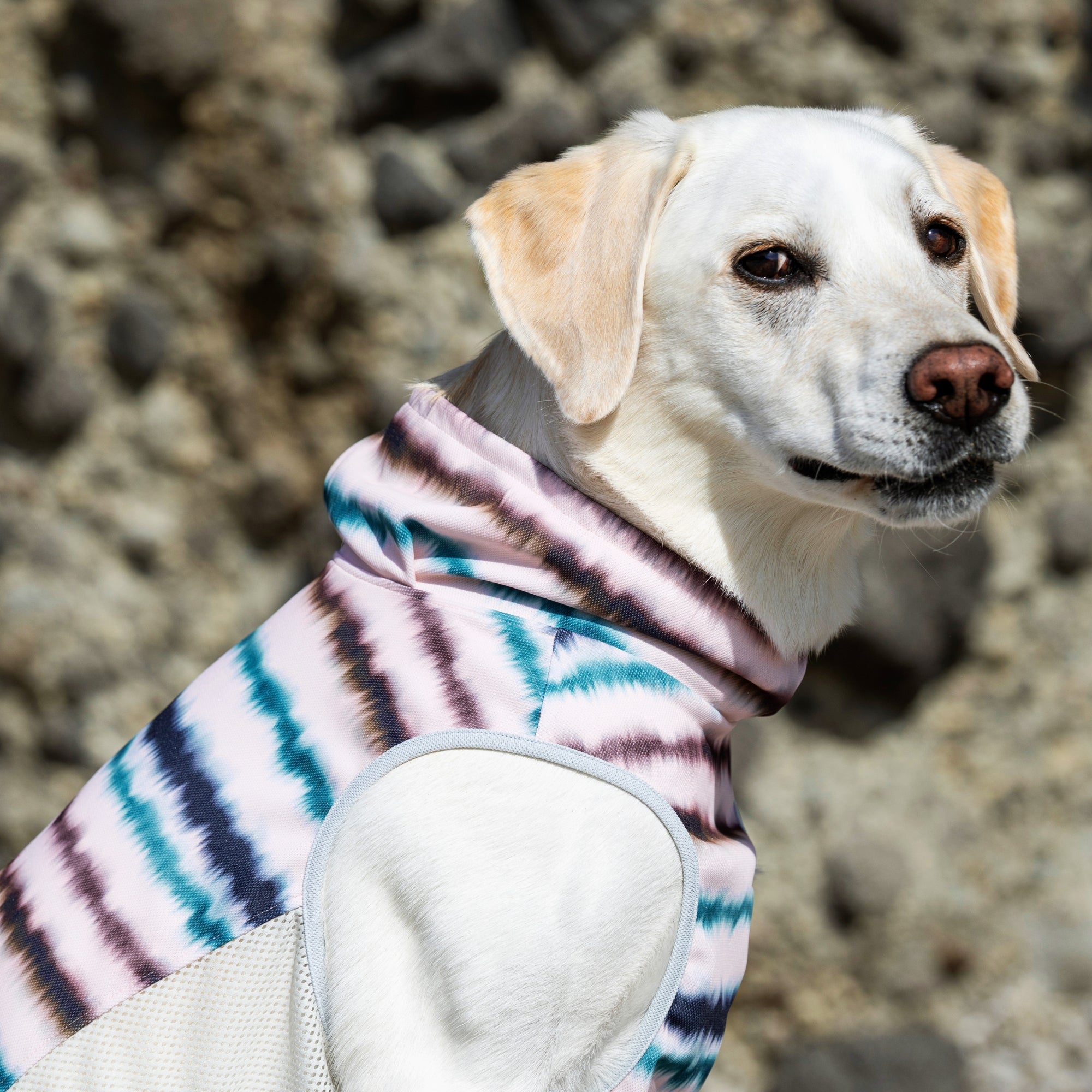 SUMMER COOLING NECK　サマークーリングネック　 CORAL