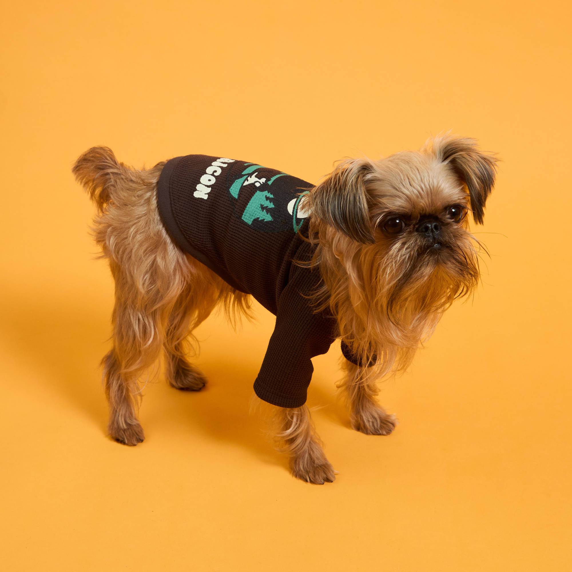 DRY  KNIT TEE　ドライニットティー　DUNE