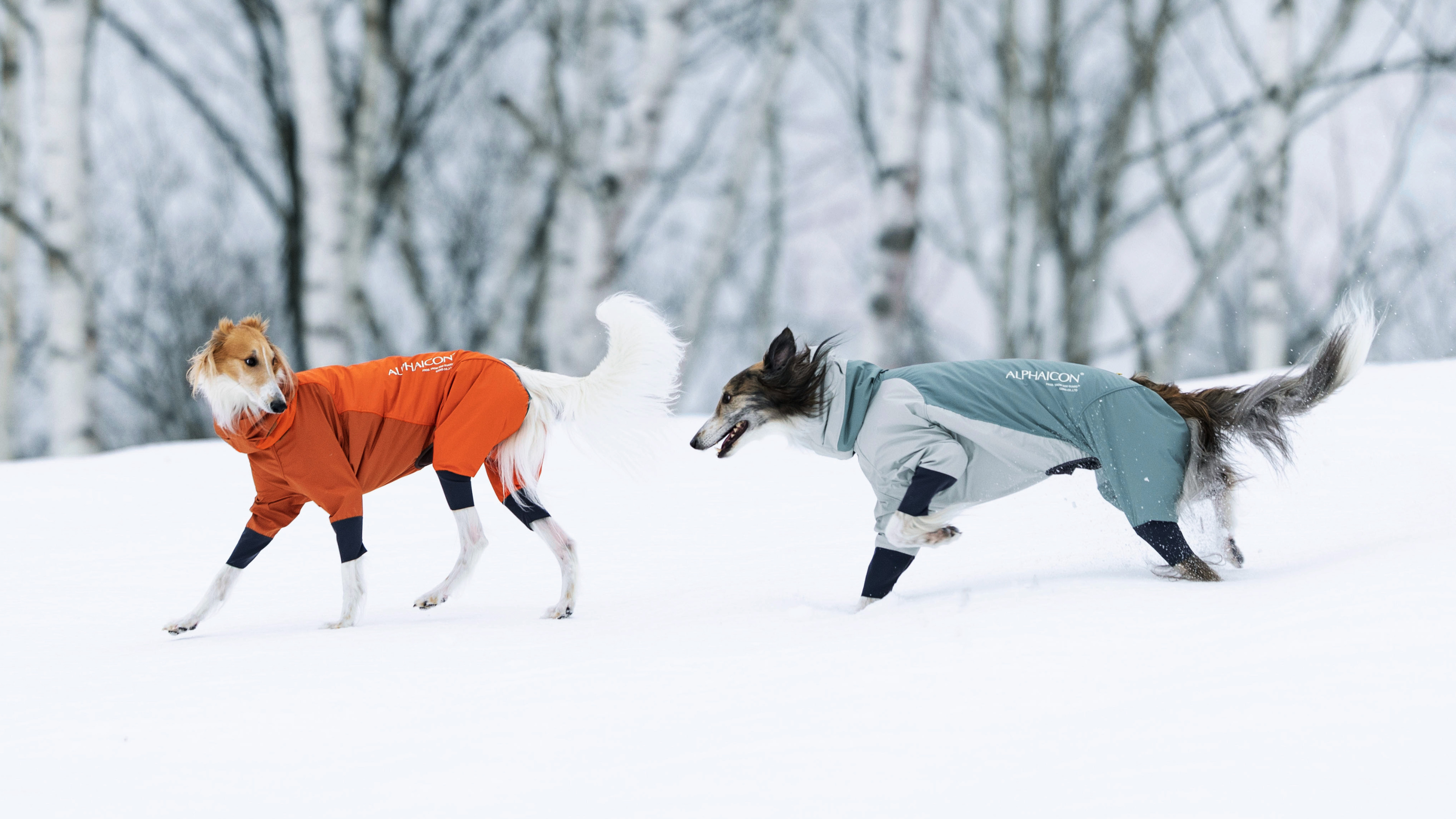 アルファアイコン スノードッグガード フラミンゴ L
