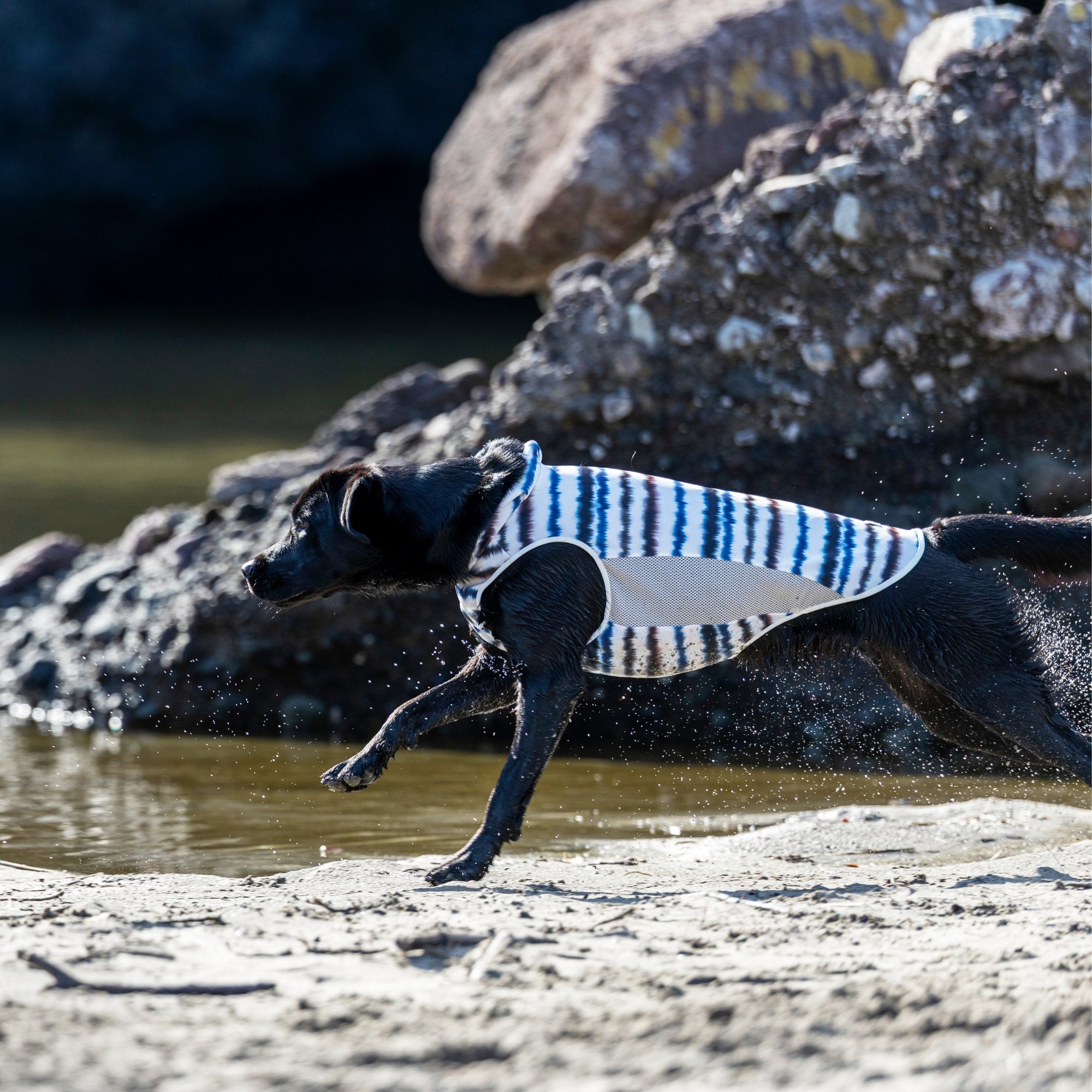 SUMMER COOLING NECK　サマークーリングネック　 TIDE