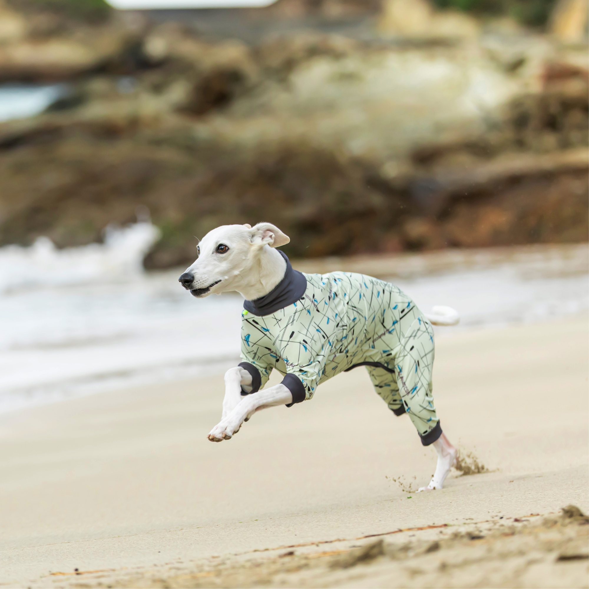 FULL DOG GUARD　フルドッグガード　LIME GLOW