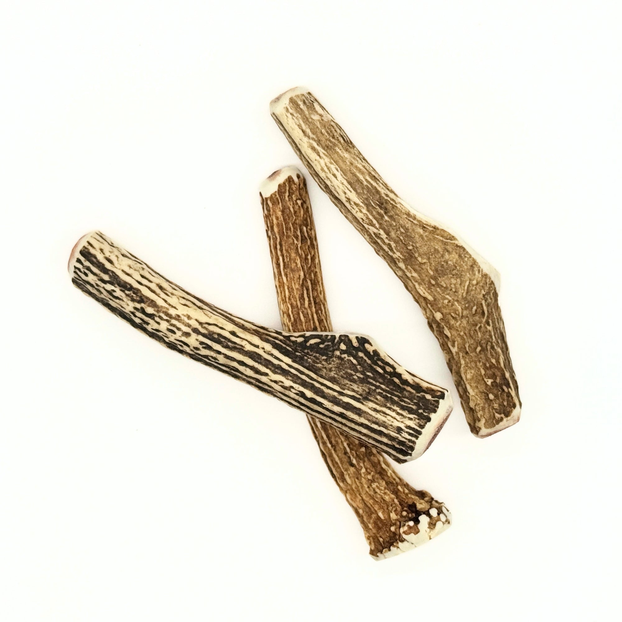 Sika Deer Dental Care Horn