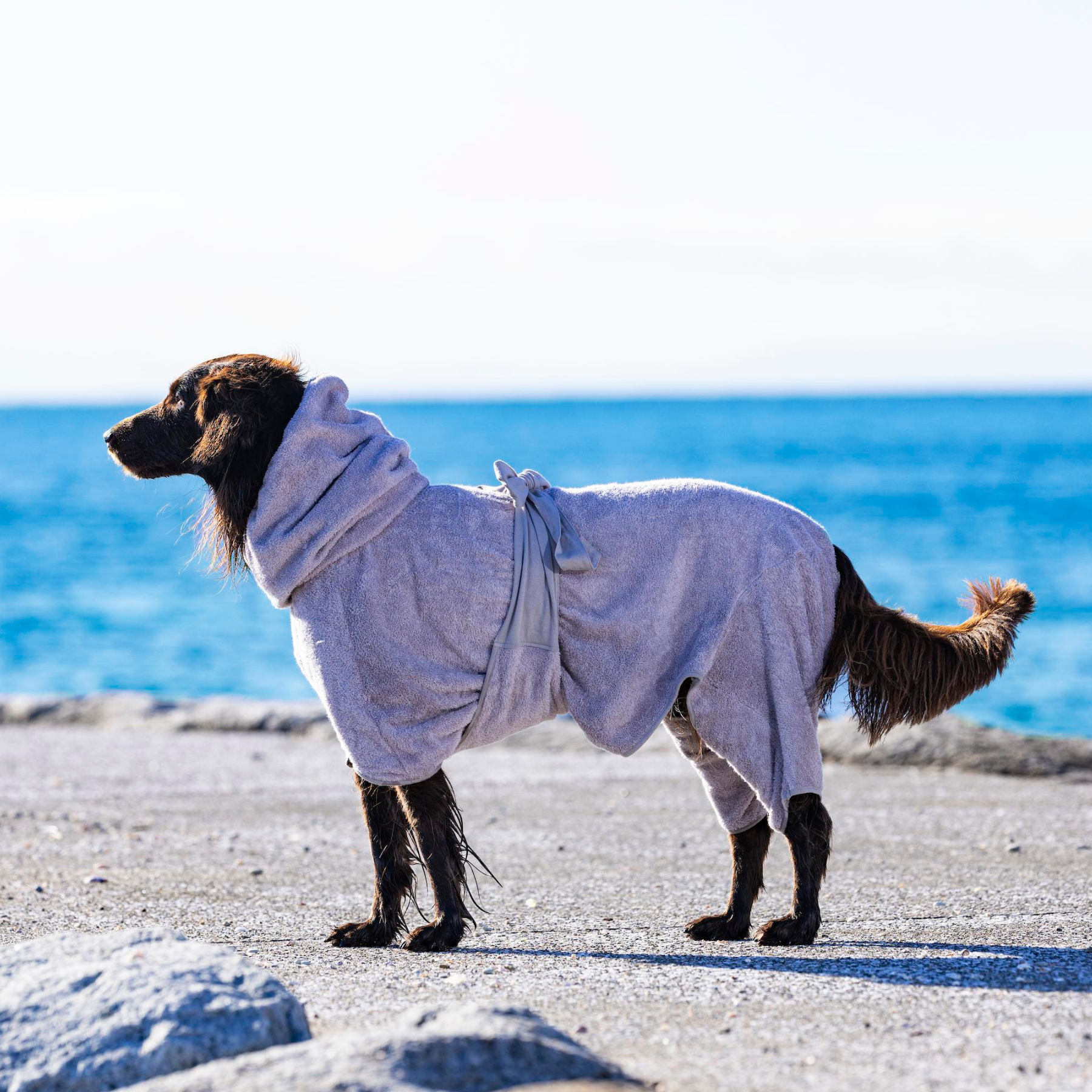 DOGGY ROBE Doggy Robe Gray