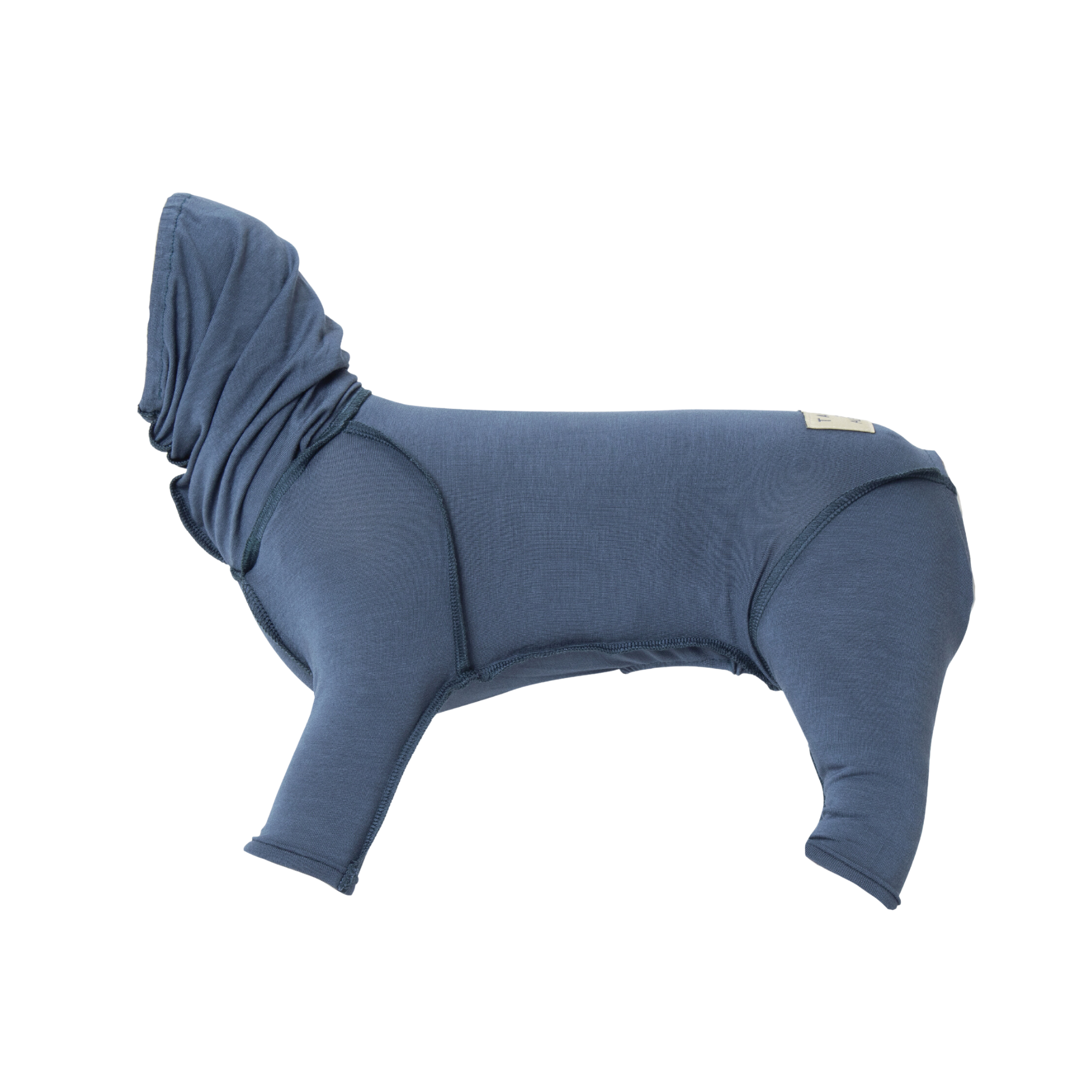 TAKEFU DOGWEAR TAKEFU DOGWEAR Blue