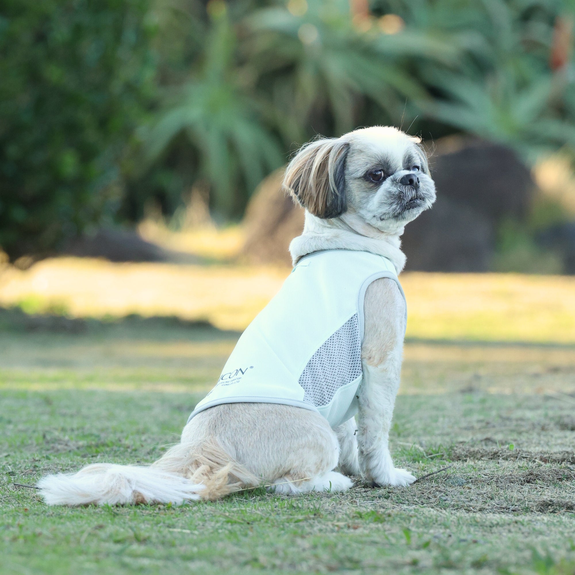 SUMMER COOLING TANKTOP　サマークーリングタンクトップ　HAZE