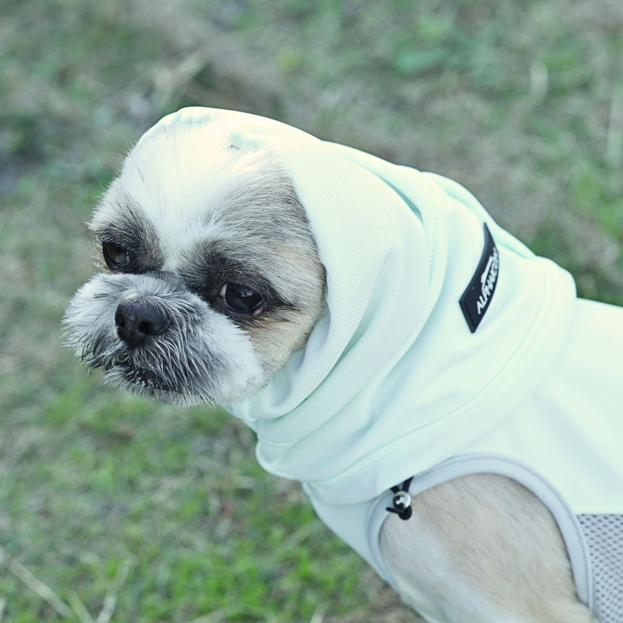 COOL SNOOD　クールスヌード　HAZE