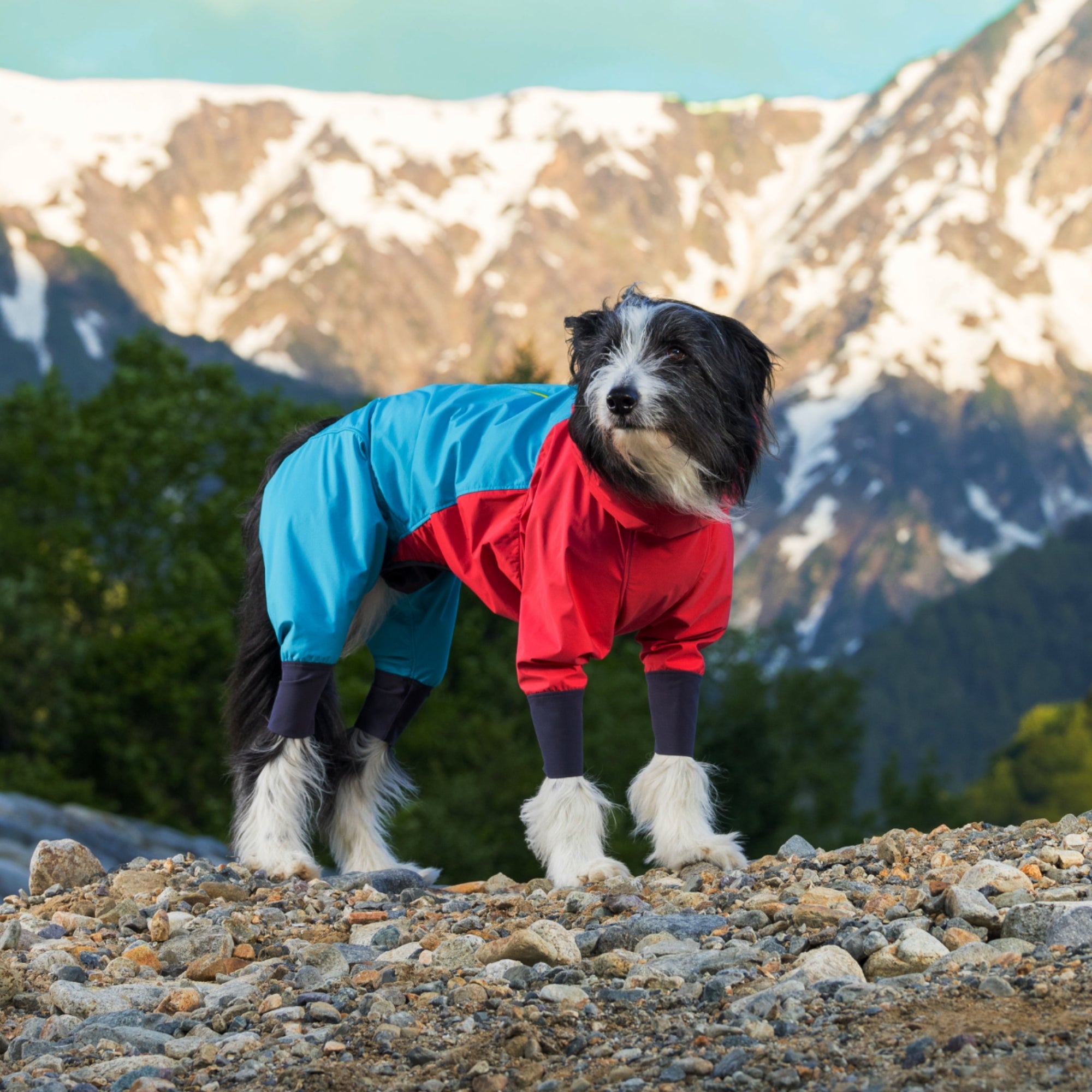 SNOW DOG GUARD RETRO SKI