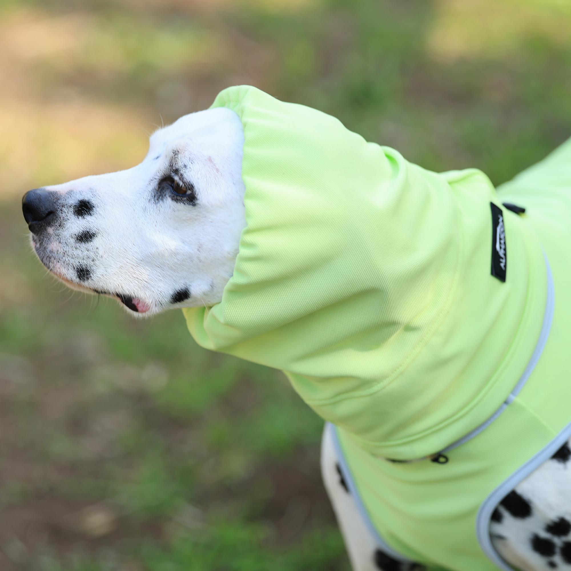 COOL SNOOD MELON