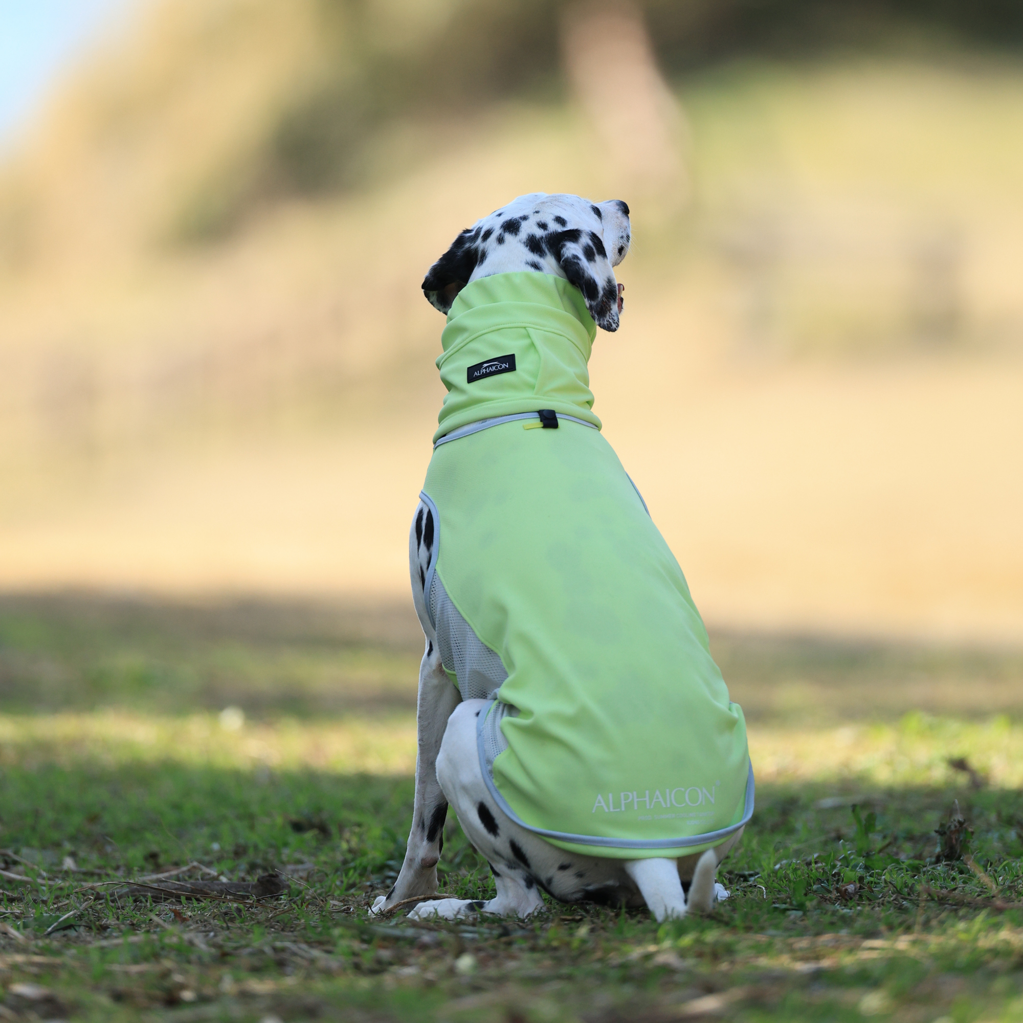 COOL SNOOD MELON