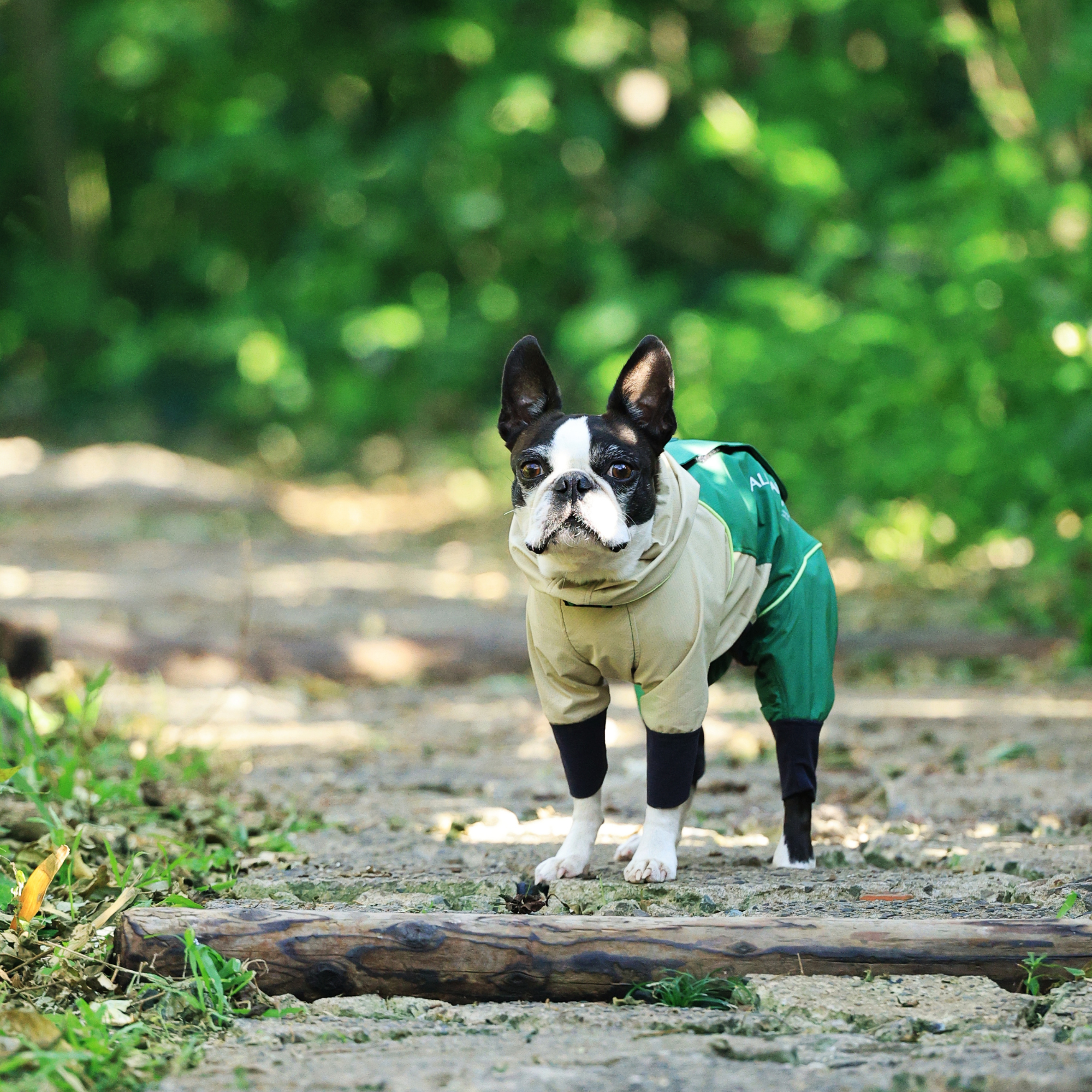 RAIN DOG GUARD レインドッグガード AVOCADO